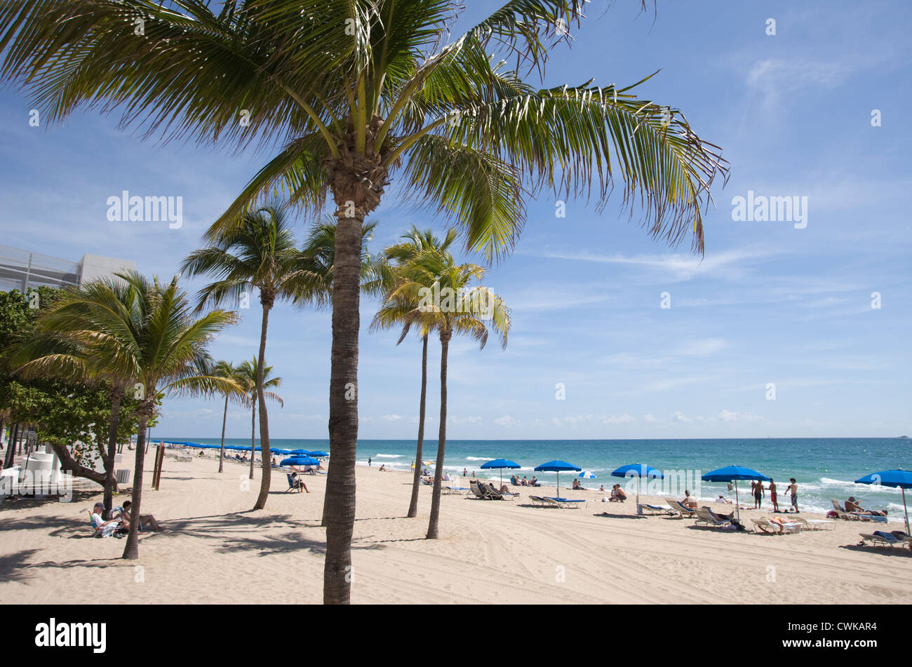google maps satellite seabreeze blvd fort lauderdale