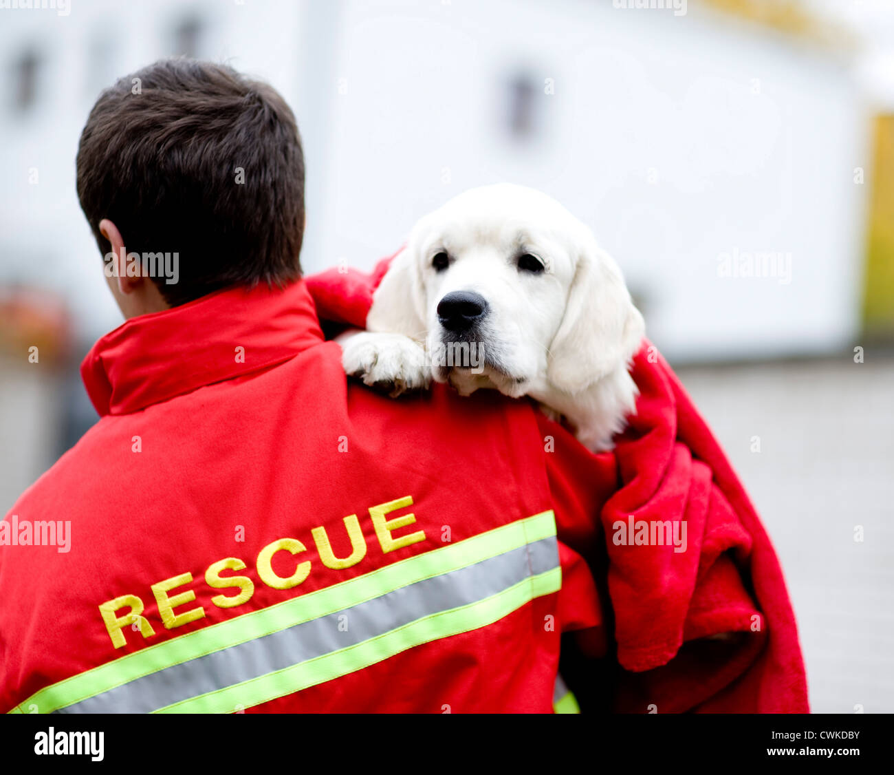 Rescue worker with dog Stock Photo Alamy