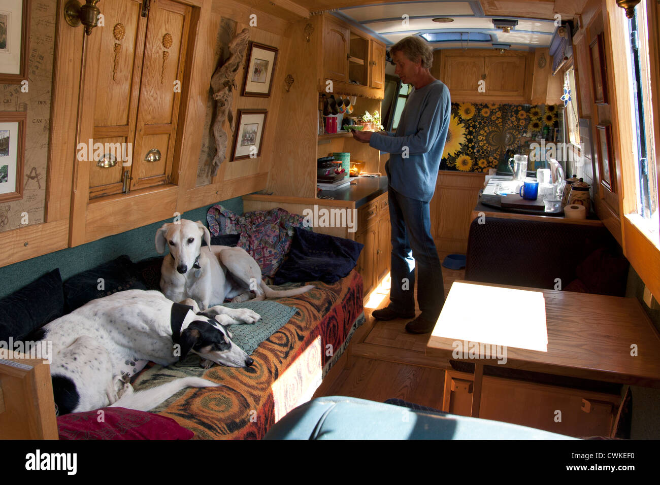 two dogs living on canal boat with owner Stock Photo Alamy