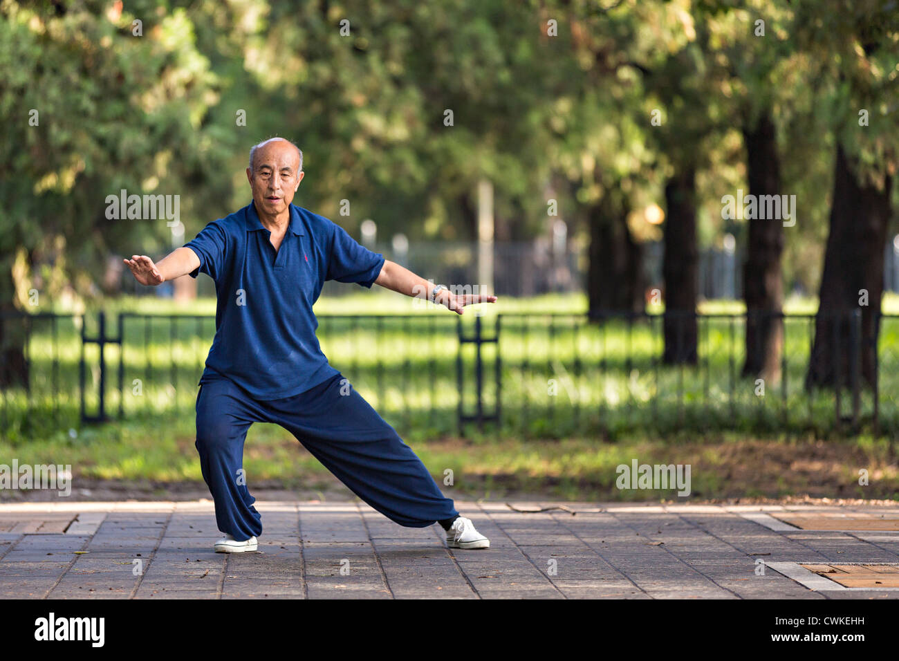 An elderly Chinese man practices tai chi martial arts exercise early morning at the Temple of