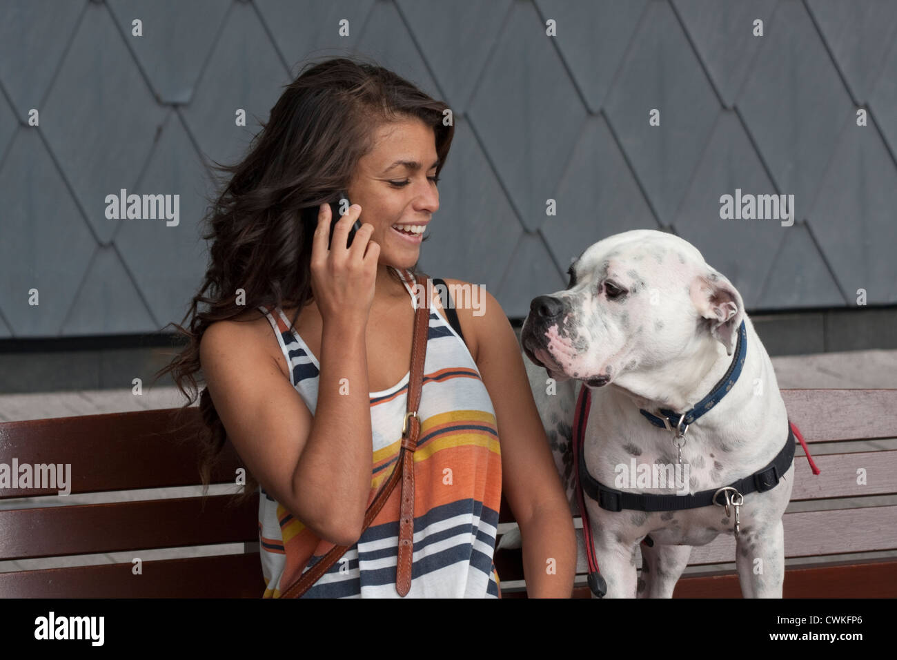 young woman sitting on bench with her dog, talking on mobile phone Stock Photo