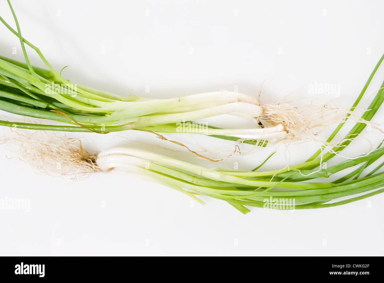 Bunch of spring onions hi-res stock photography and images - Alamy