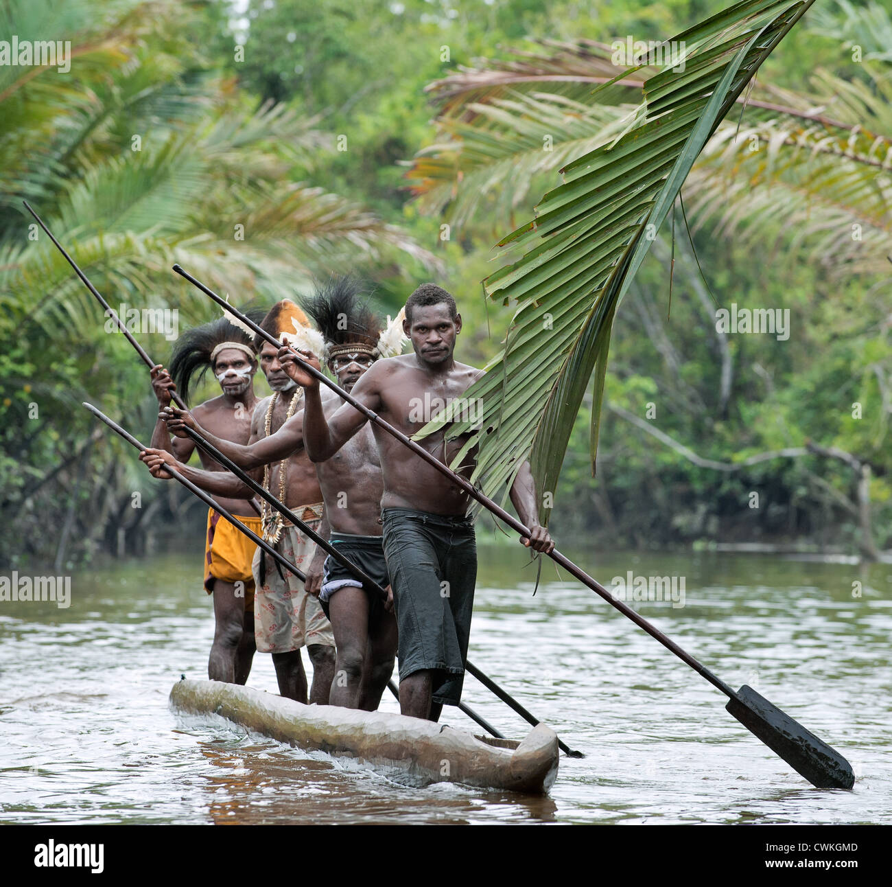 Canoe war ceremony of Asmat people Stock Photo Alamy