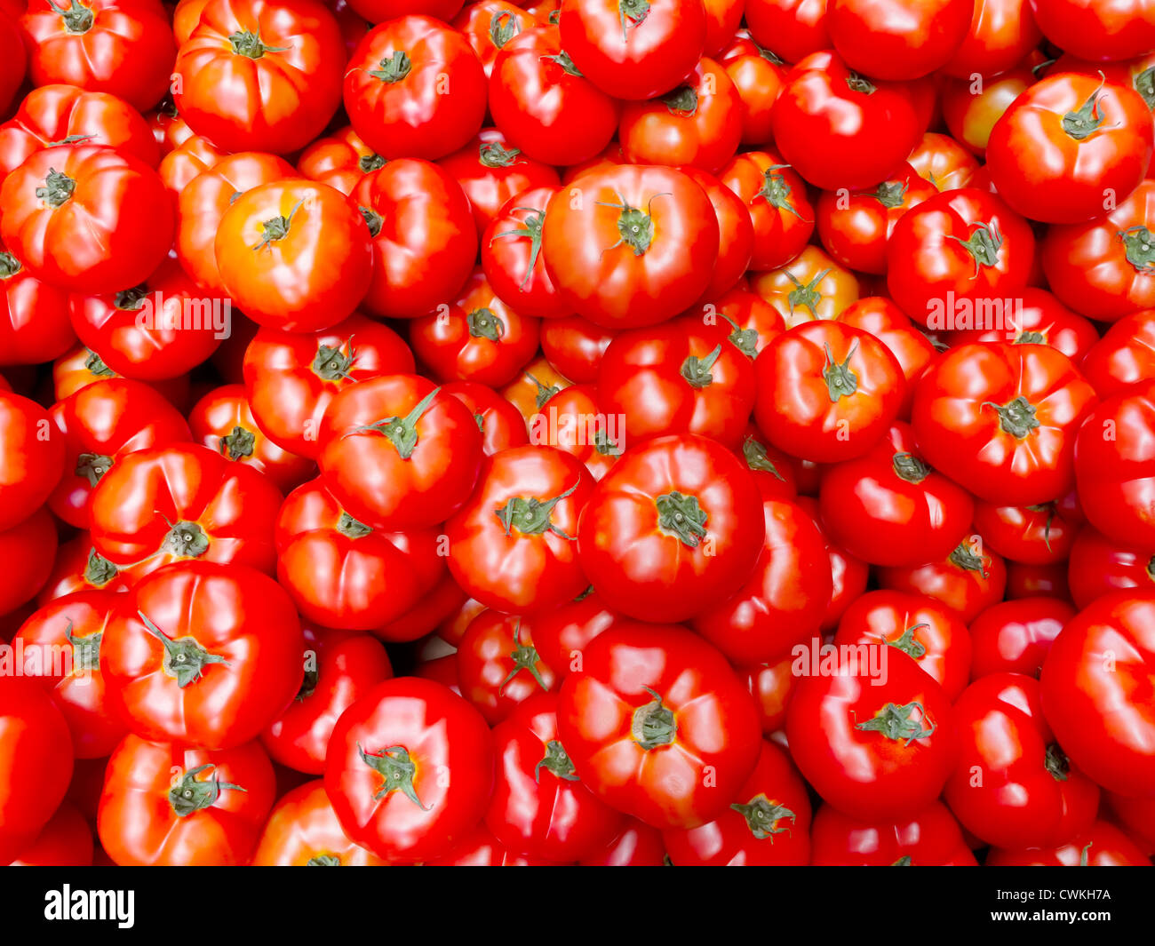 Stack of ripe and plump red tomatoes Stock Photo