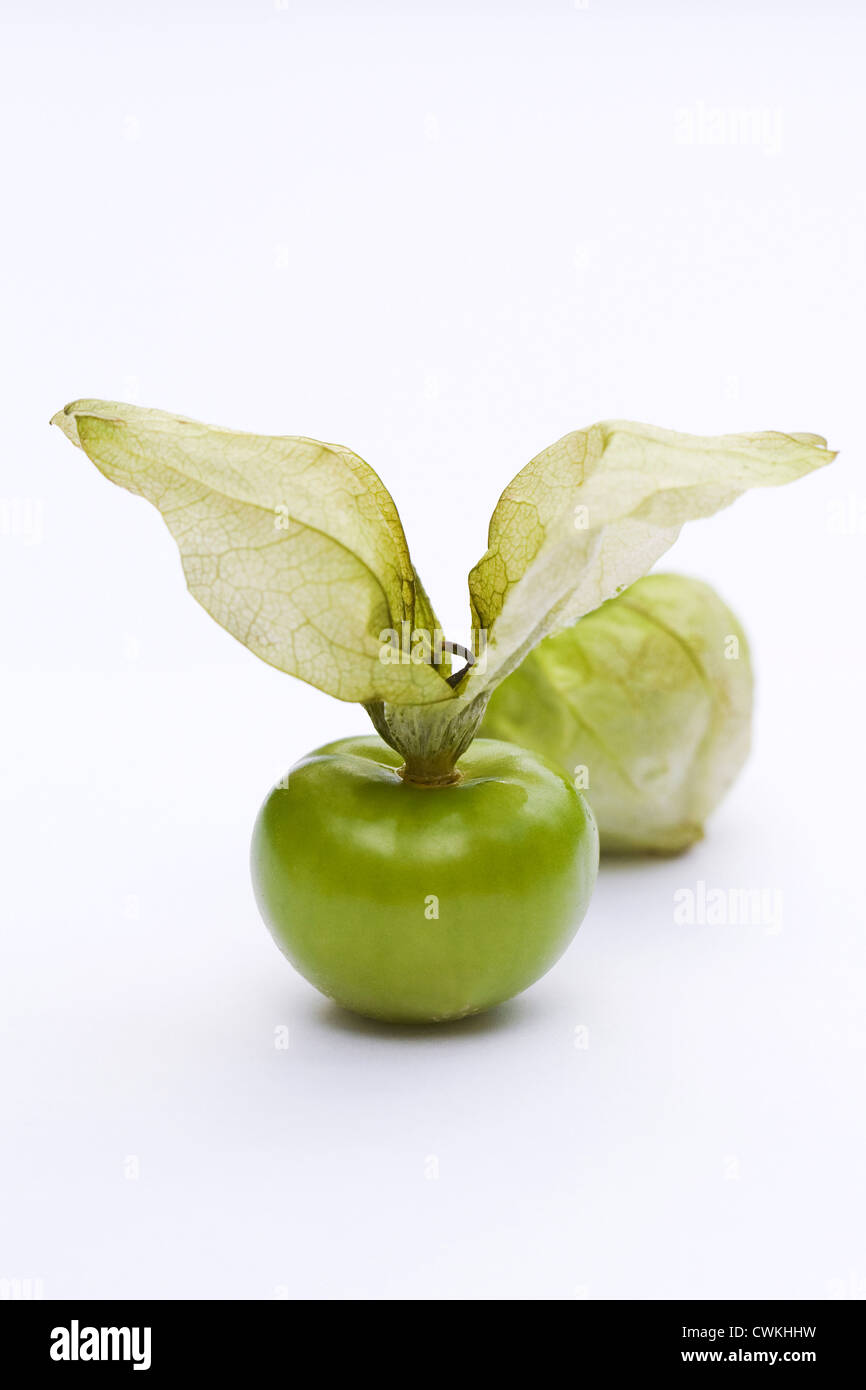 Physalis philadelphica. Two tomatilloes on a white background. Stock Photo