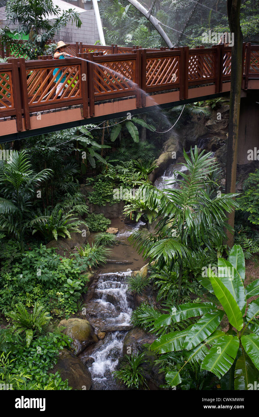 Birds Aviary Stock Photos &amp; Birds Aviary Stock Images - Alamy