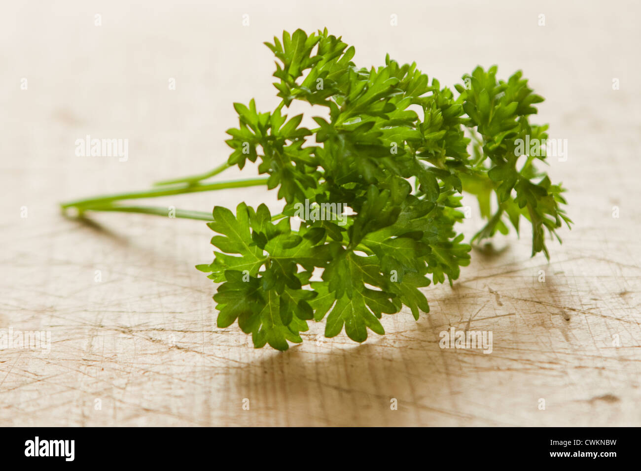 some parsley in the kitchen Stock Photo Alamy