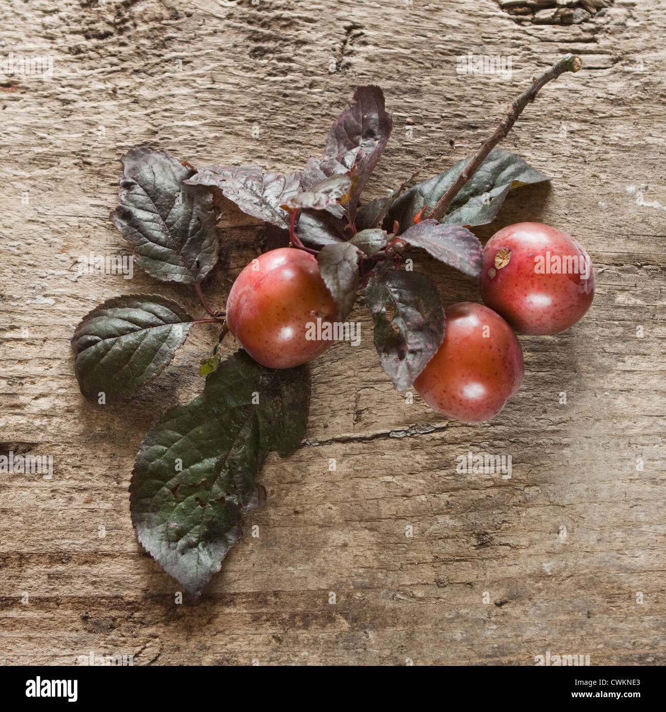 ripe cherrys, plums on a wooden background Stock Photo