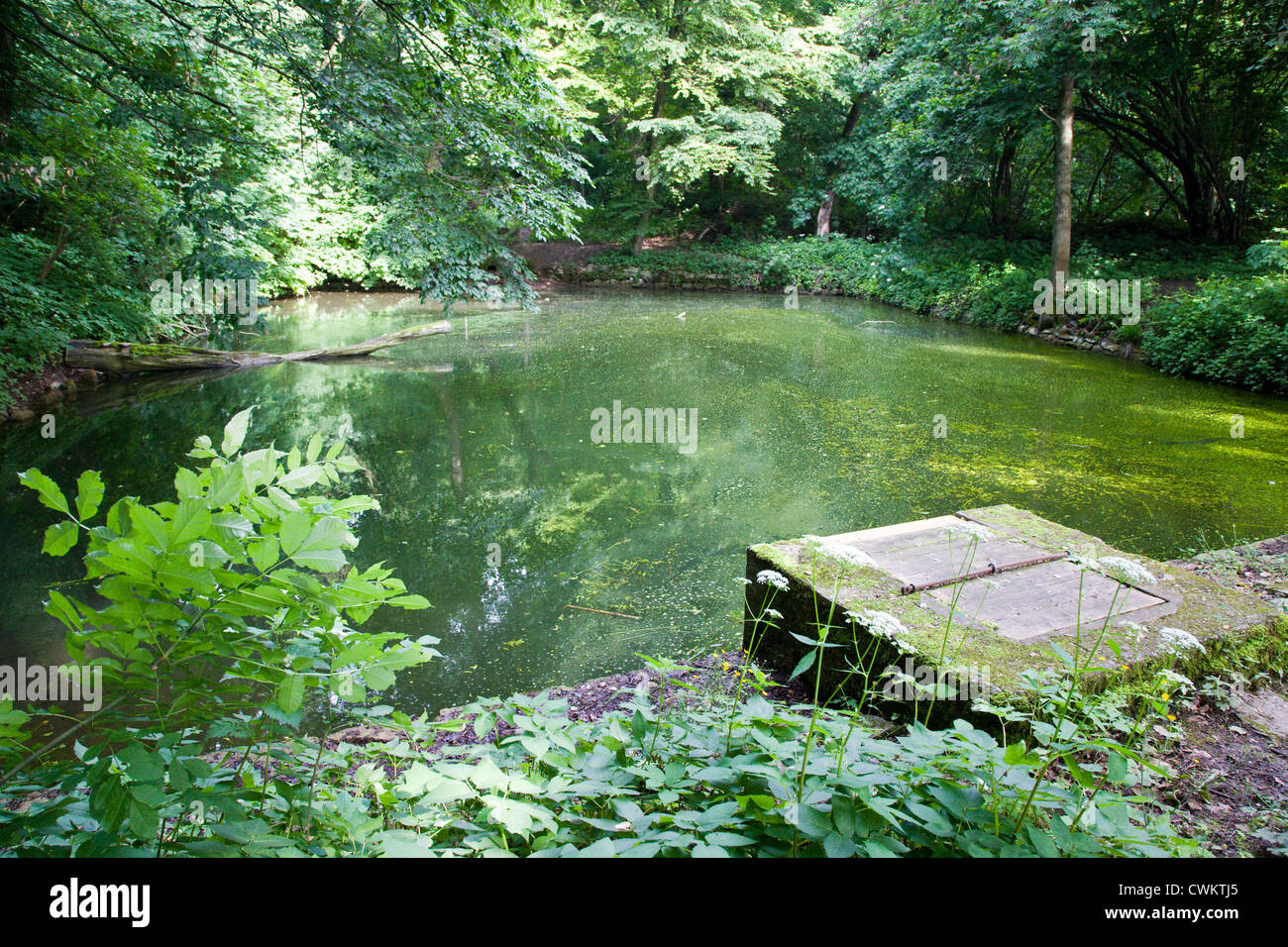 areal lazni, Mala Chuchle, stezka Chuchelsky haj, Praha, CR Stock Photo -  Alamy