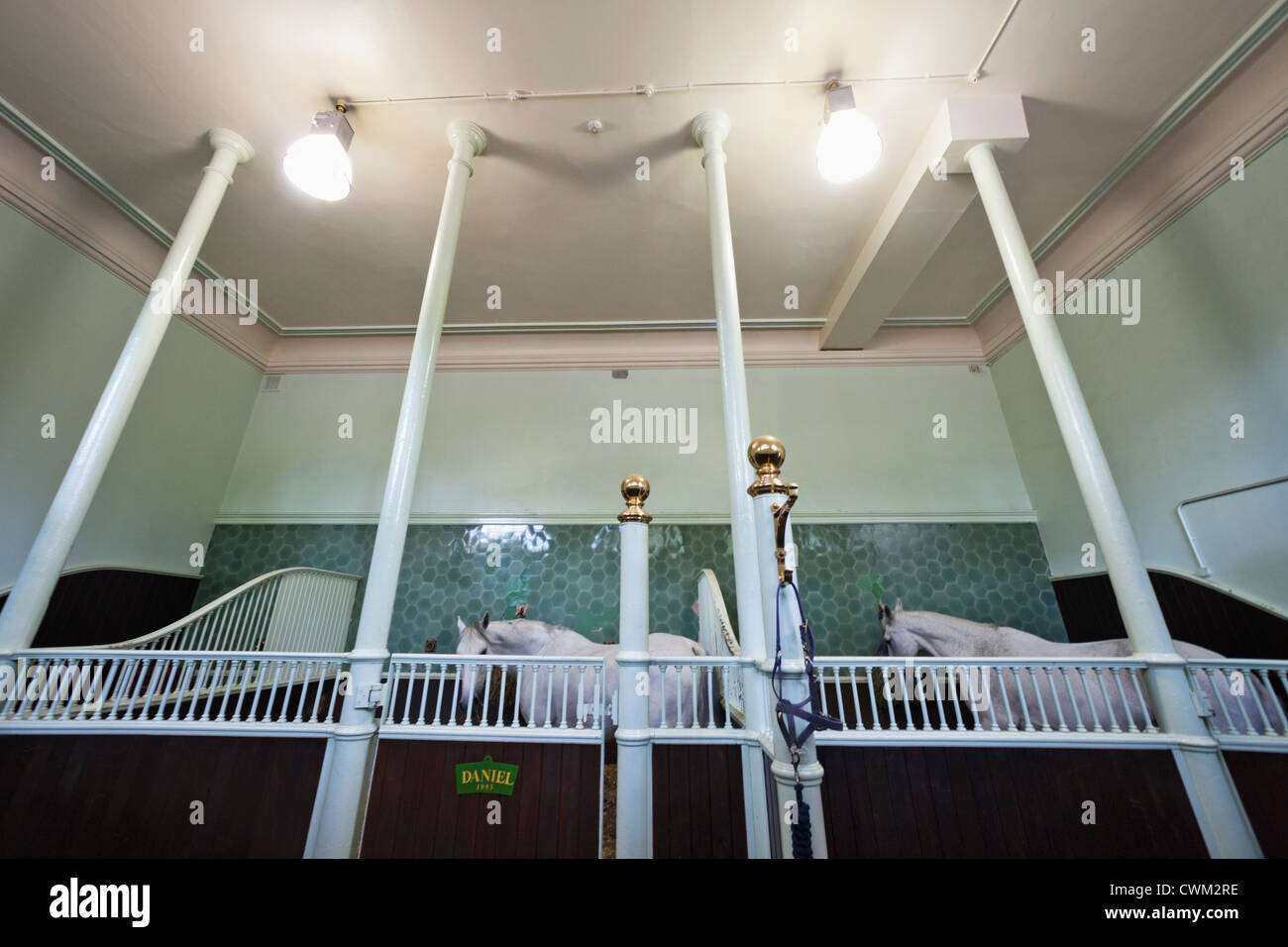 London cubs inspected by Lt Gen Sir A Codrington at Royal Mews , Buckingham  Palace . 23 April 1927 Stock Photo - Alamy