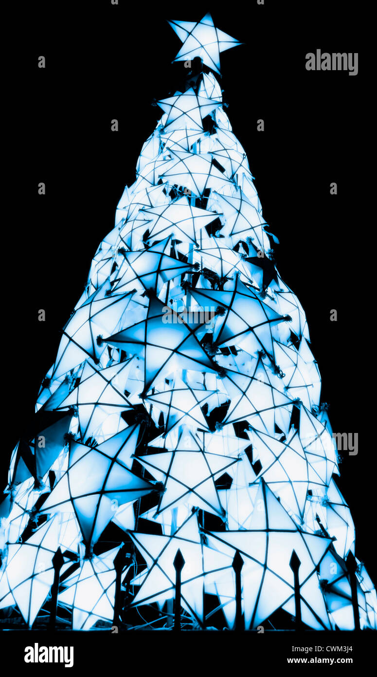 Lighted Christmas tree made of indigenous materials from the