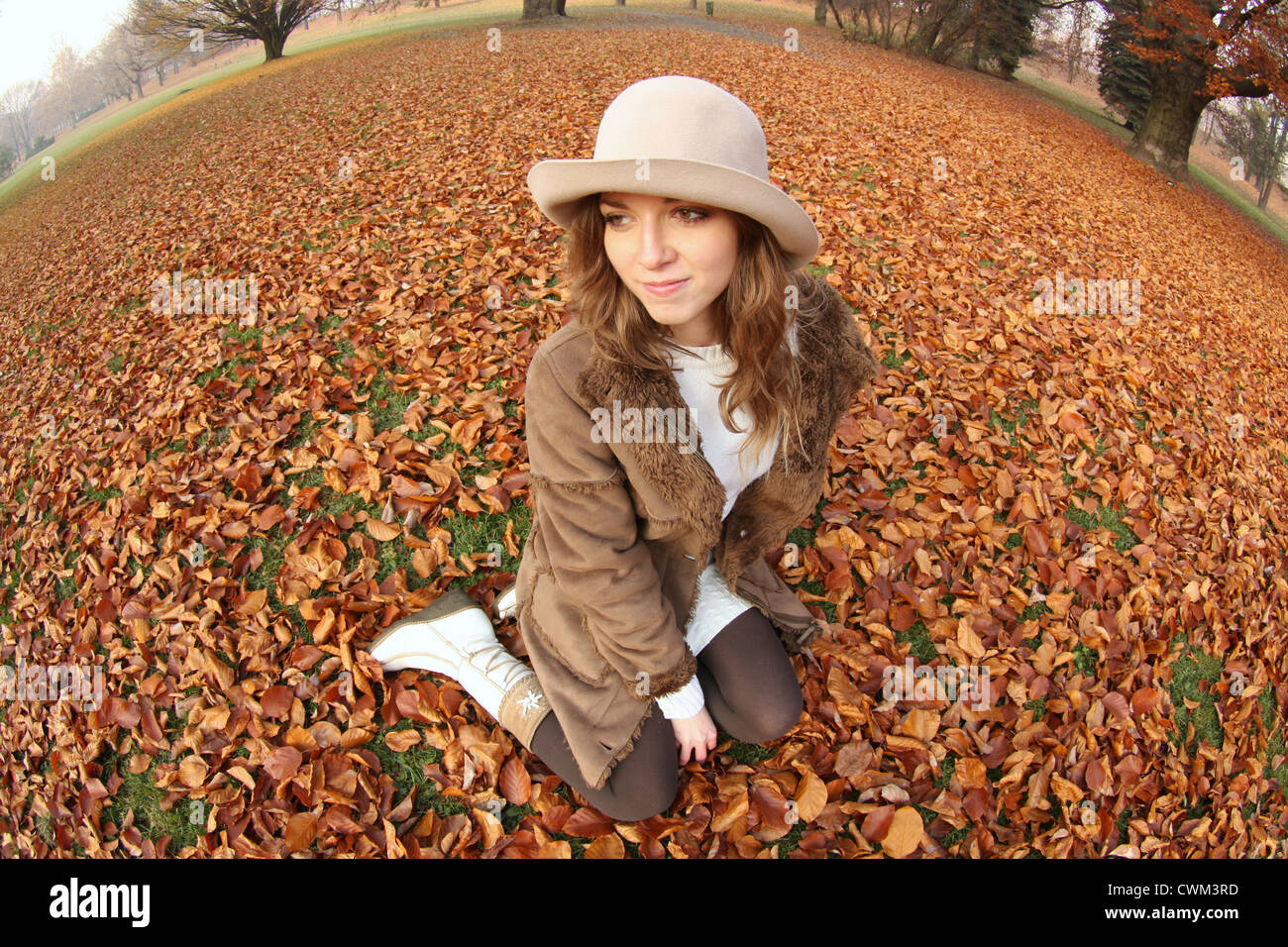 Girl Sitting in Colorful Autumn Leaves Stock Photo - Alamy