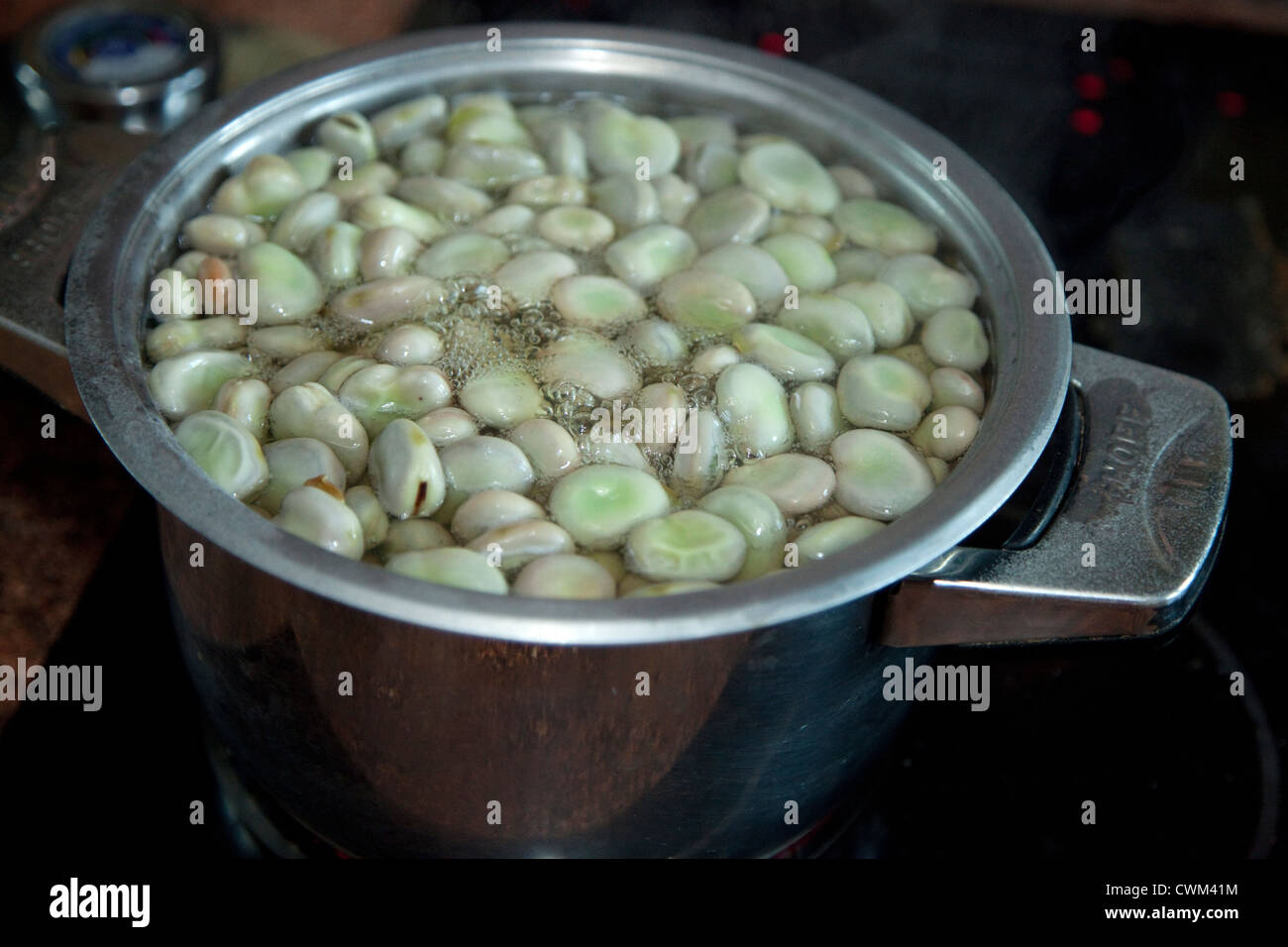 Pot of lima beans cooking on stove. Zawady Central Poland Stock Photo