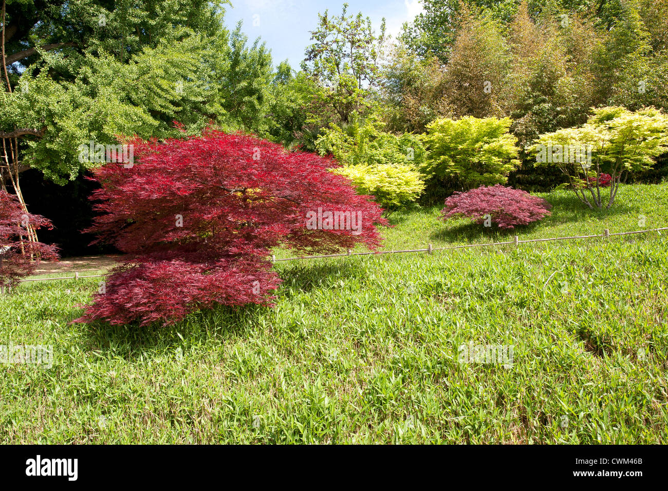 Japanese Garden Color Stock Photo Alamy Japanese Garden Color Stock Photo Alamy