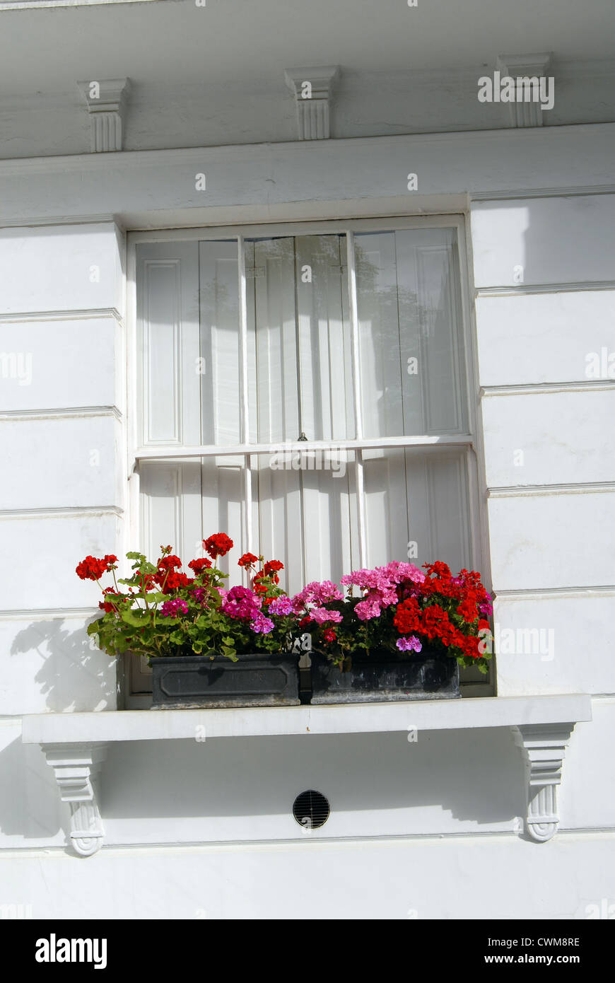 Flowers in windowsill Stock Photo Alamy