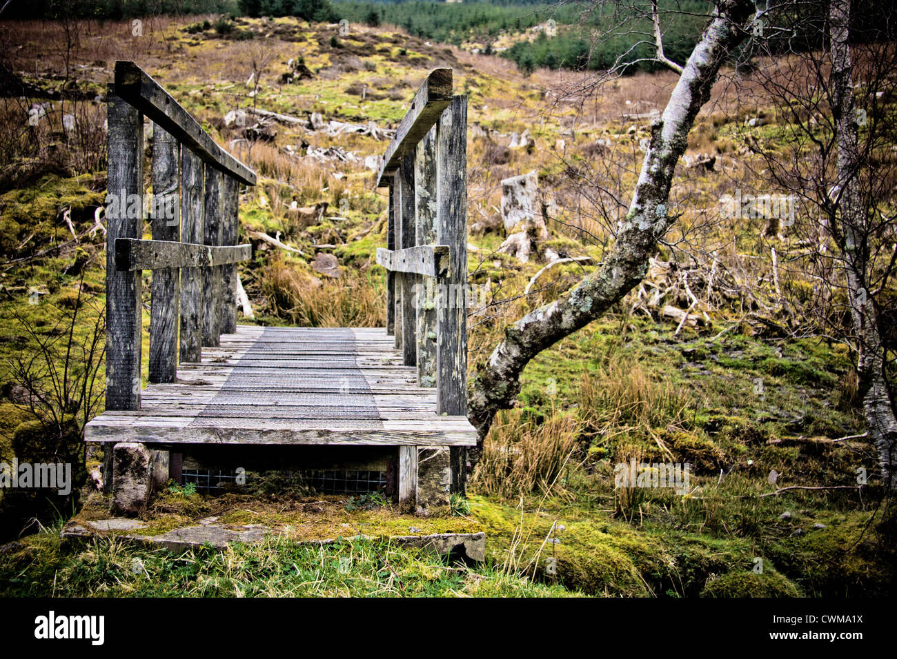 Rickety wooden bridge hi-res stock photography and images - Alamy