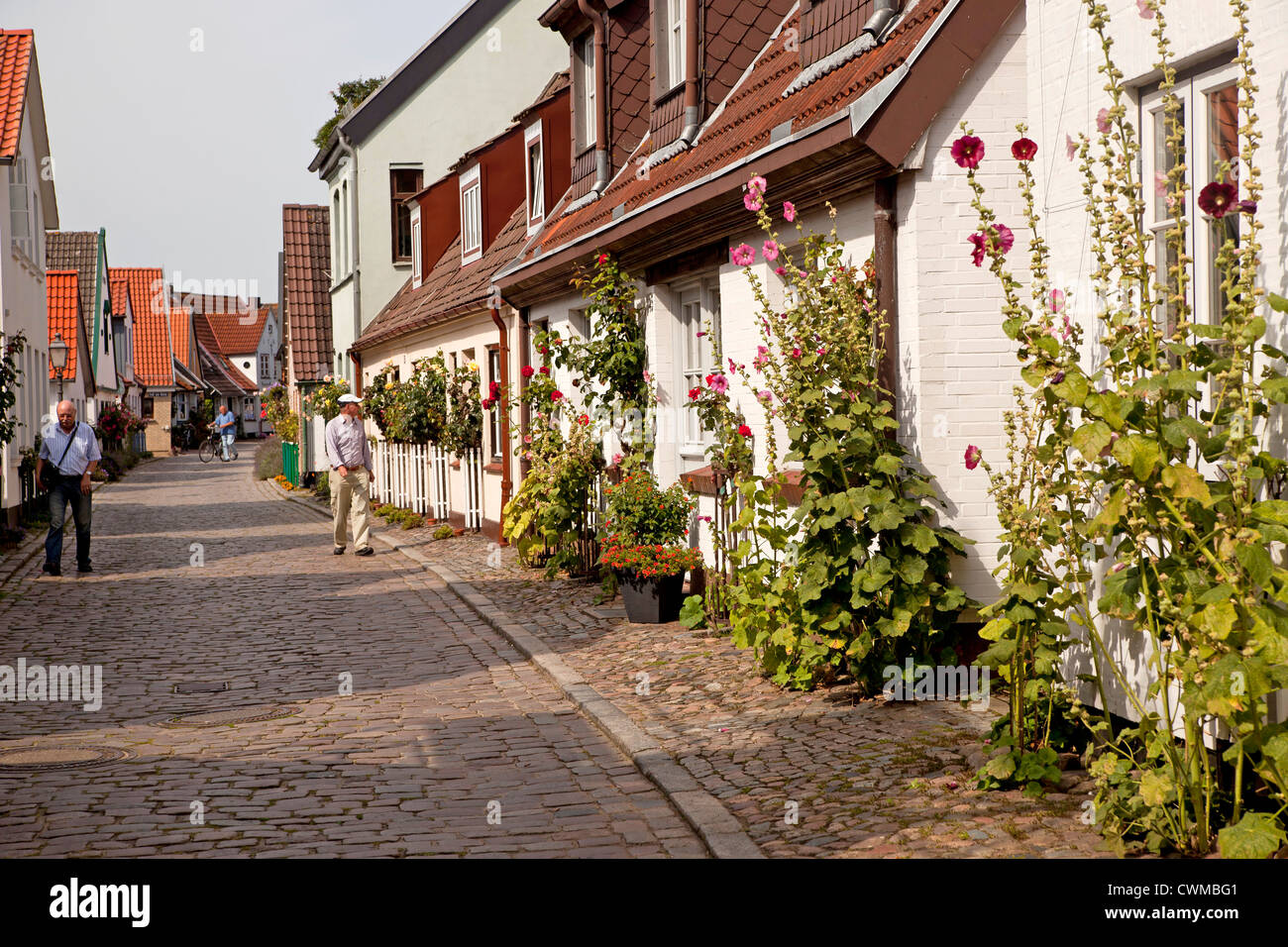 typical homes at the fishing quarter Holm in Schleswig, Schleswig