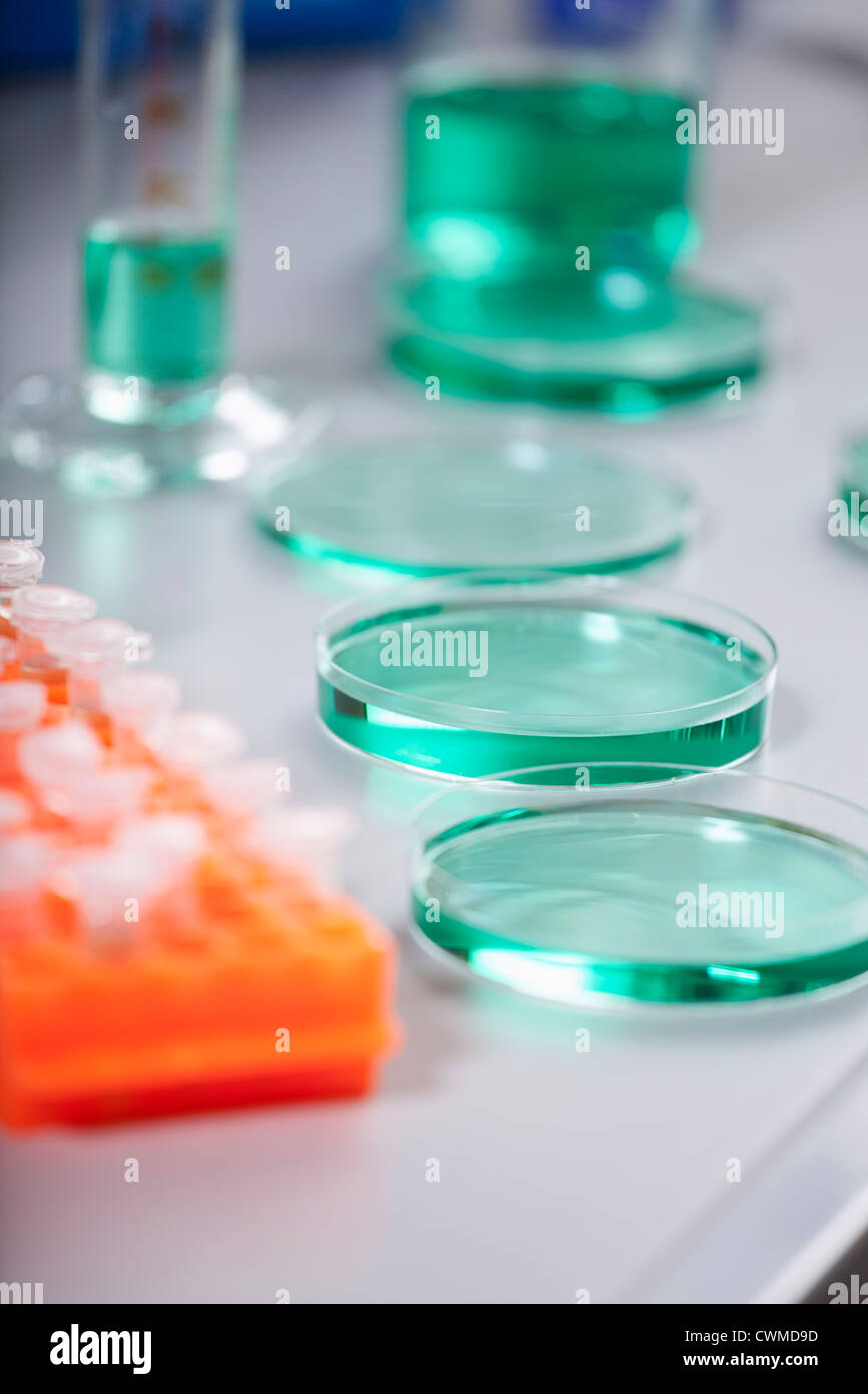 Germany, Bavaria, Munich, Test tube rack and petri dishes with green sample in laboratory Stock Photo