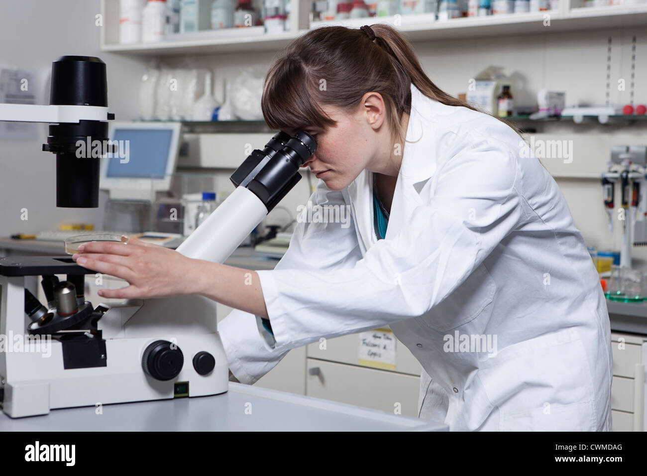 Germany, Bavaria, Munich, Scientist with microscope in laboratory Stock Photo