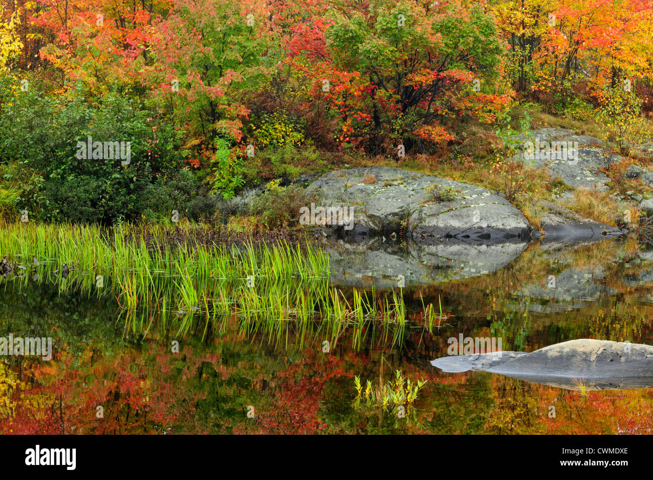 Autumn reflections in Fairbank Creek, Greater Sudbury, Ontario, Canada Stock Photo