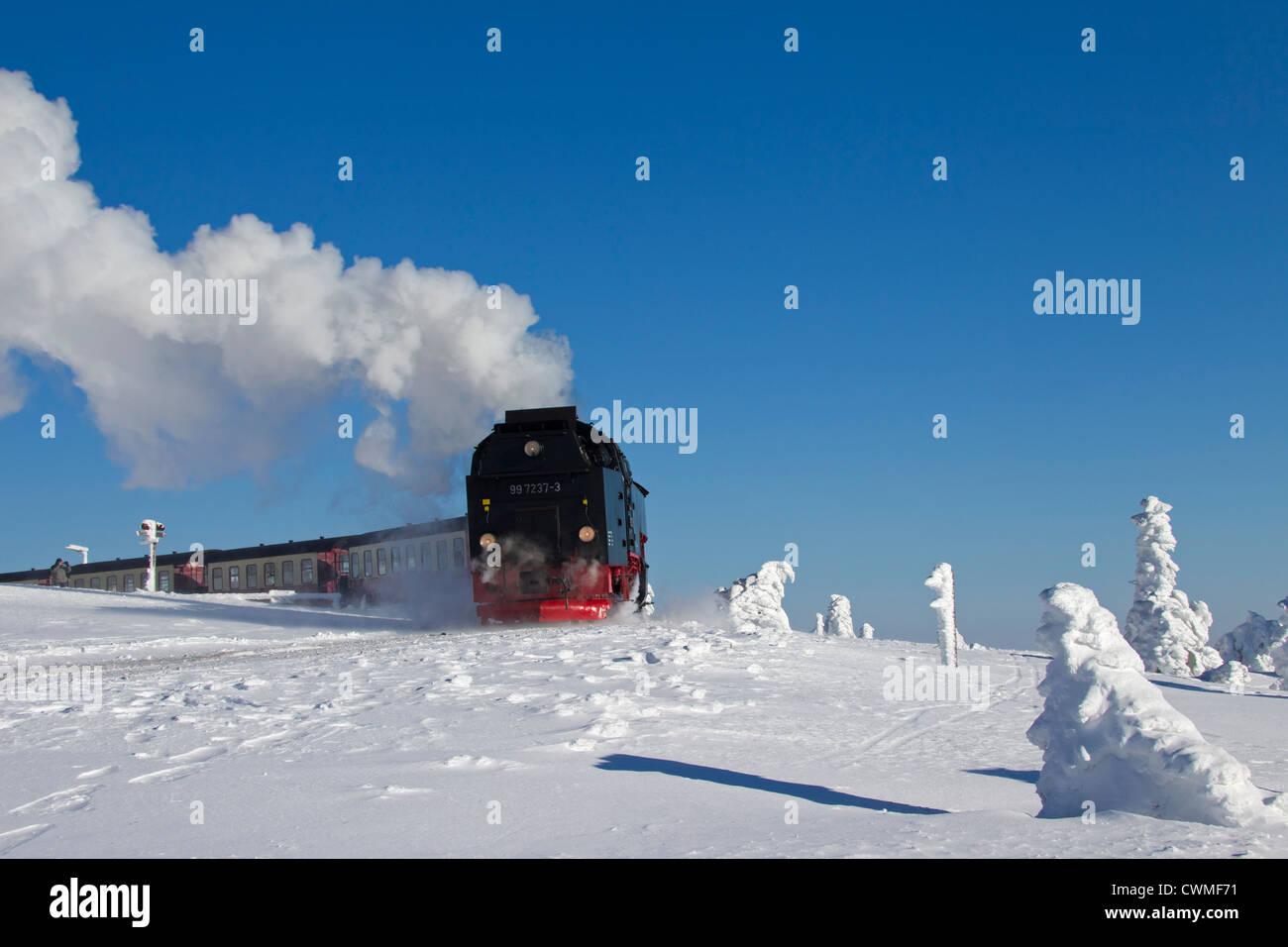 Steam train riding the Brocken Narrow Gauge railway line in the snow in winter at the Harz National park, Saxony-Anhalt, Germany Stock Photo