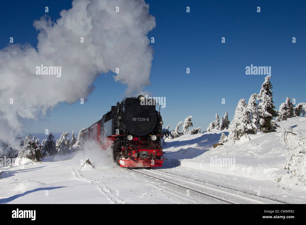 Steam train riding the Brocken Narrow Gauge railway line in the snow in winter at the Harz National Park, Saxony-Anhalt, Germany Stock Photo