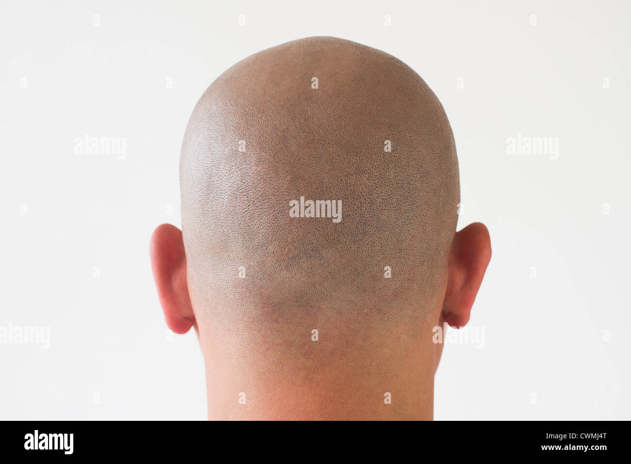 Back view of man with shaved head Stock Photo
