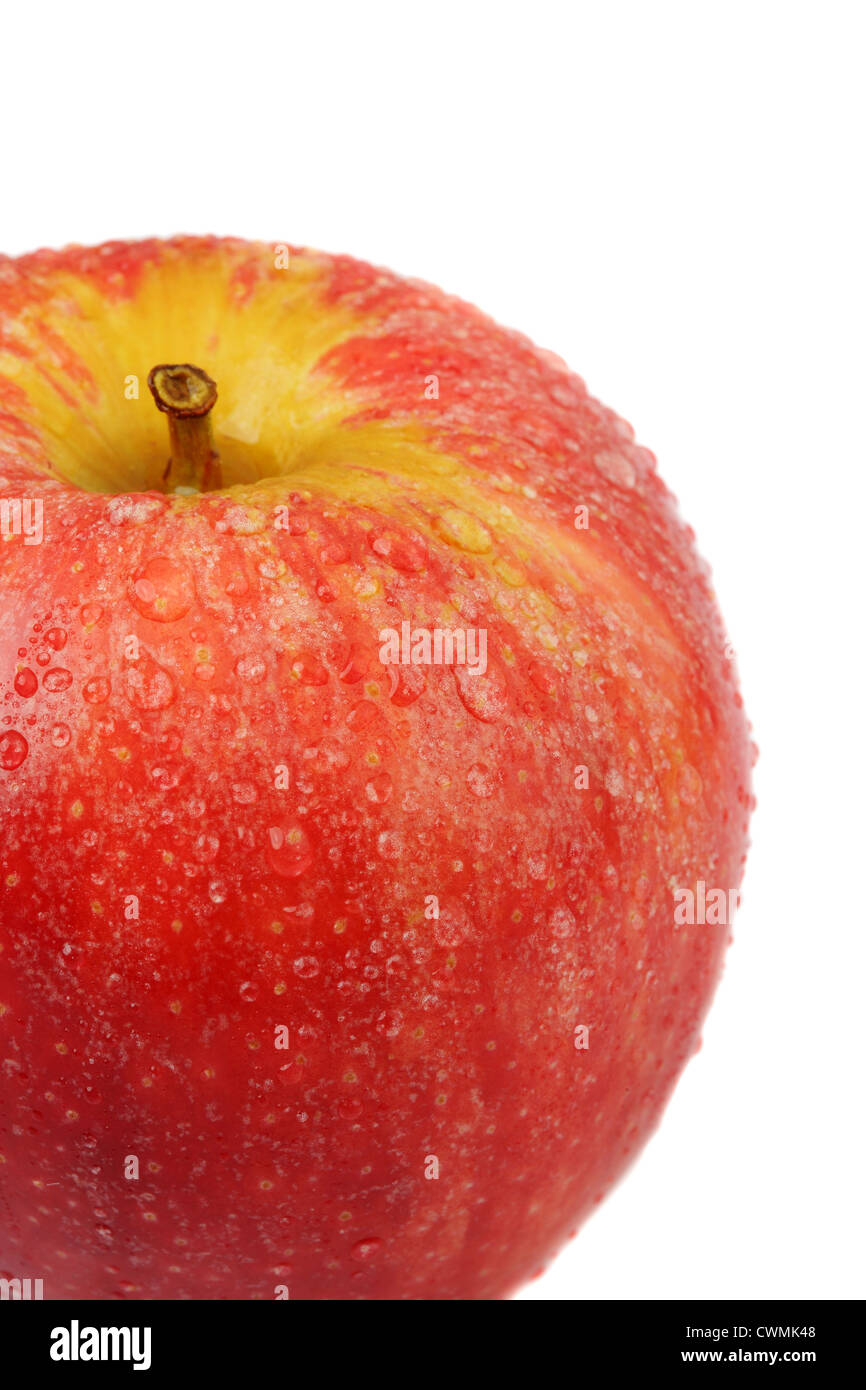 Macro closeup shot of Gala Apple on white background with copy space