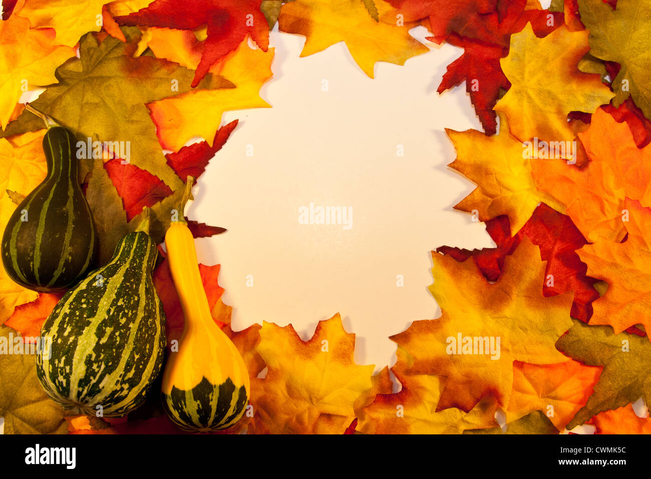Fall Leaves with Gourds Stock Photo - Alamy