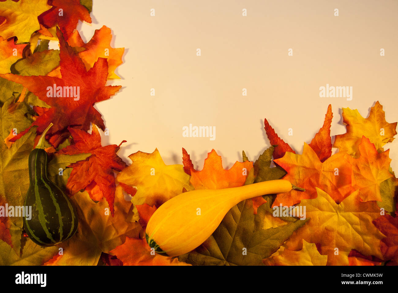 Fall Leaves with Gourds Stock Photo - Alamy