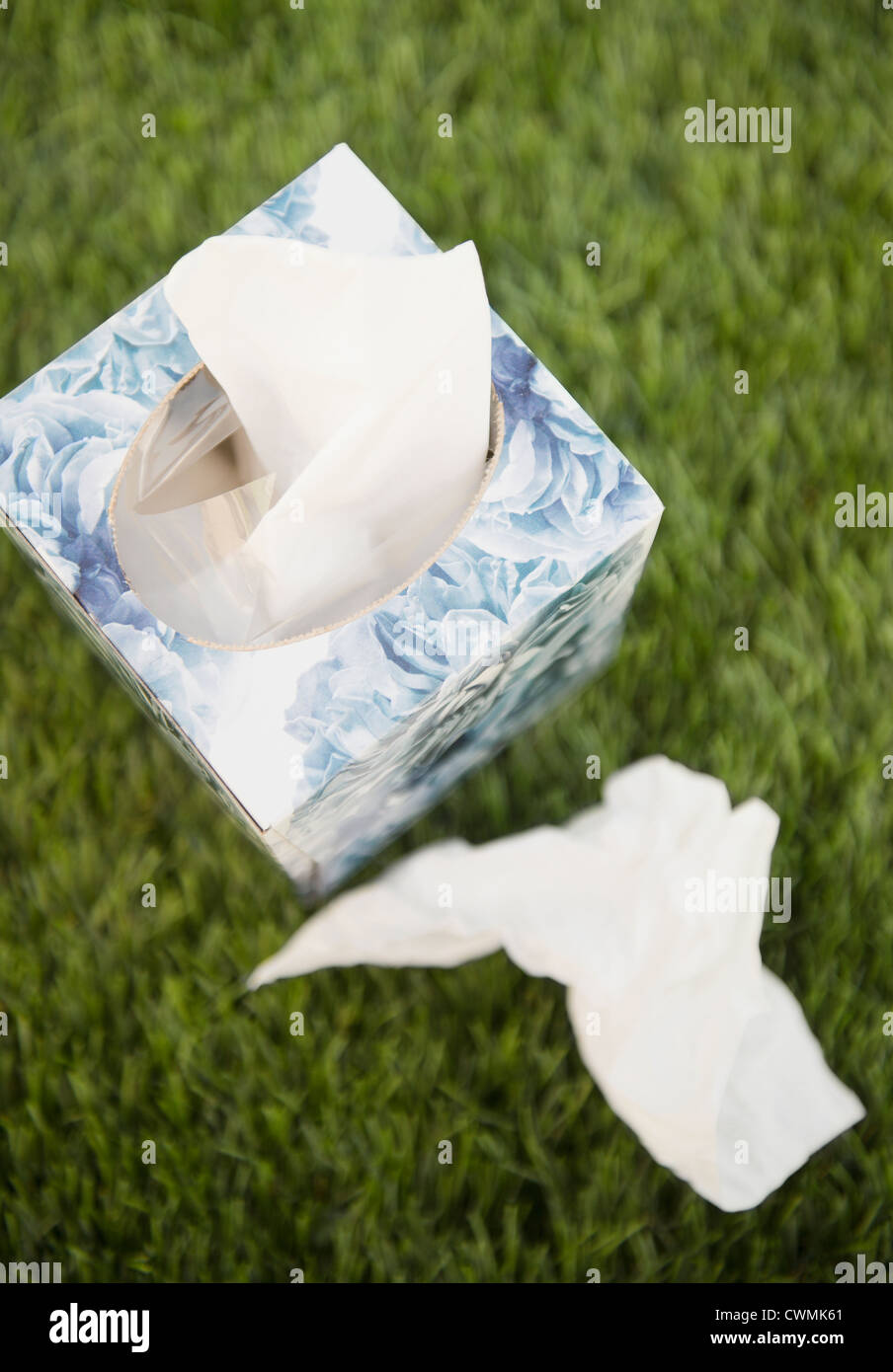 Tissue box and tissues on green grass Stock Photo