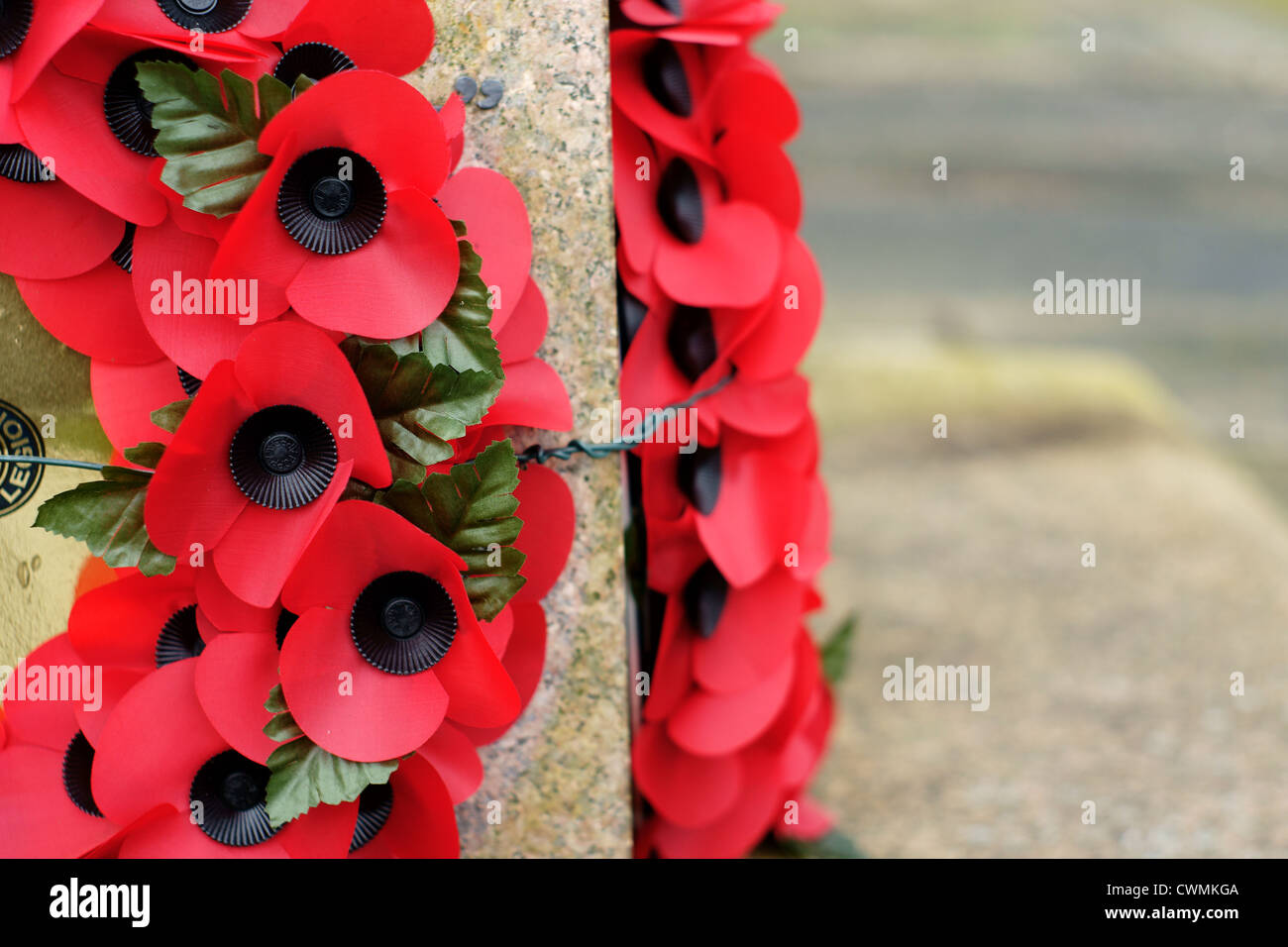 Remembrance day poppy wreathes on a war memorial to commemorate fallen servicemen in past conflicts Stock Photo