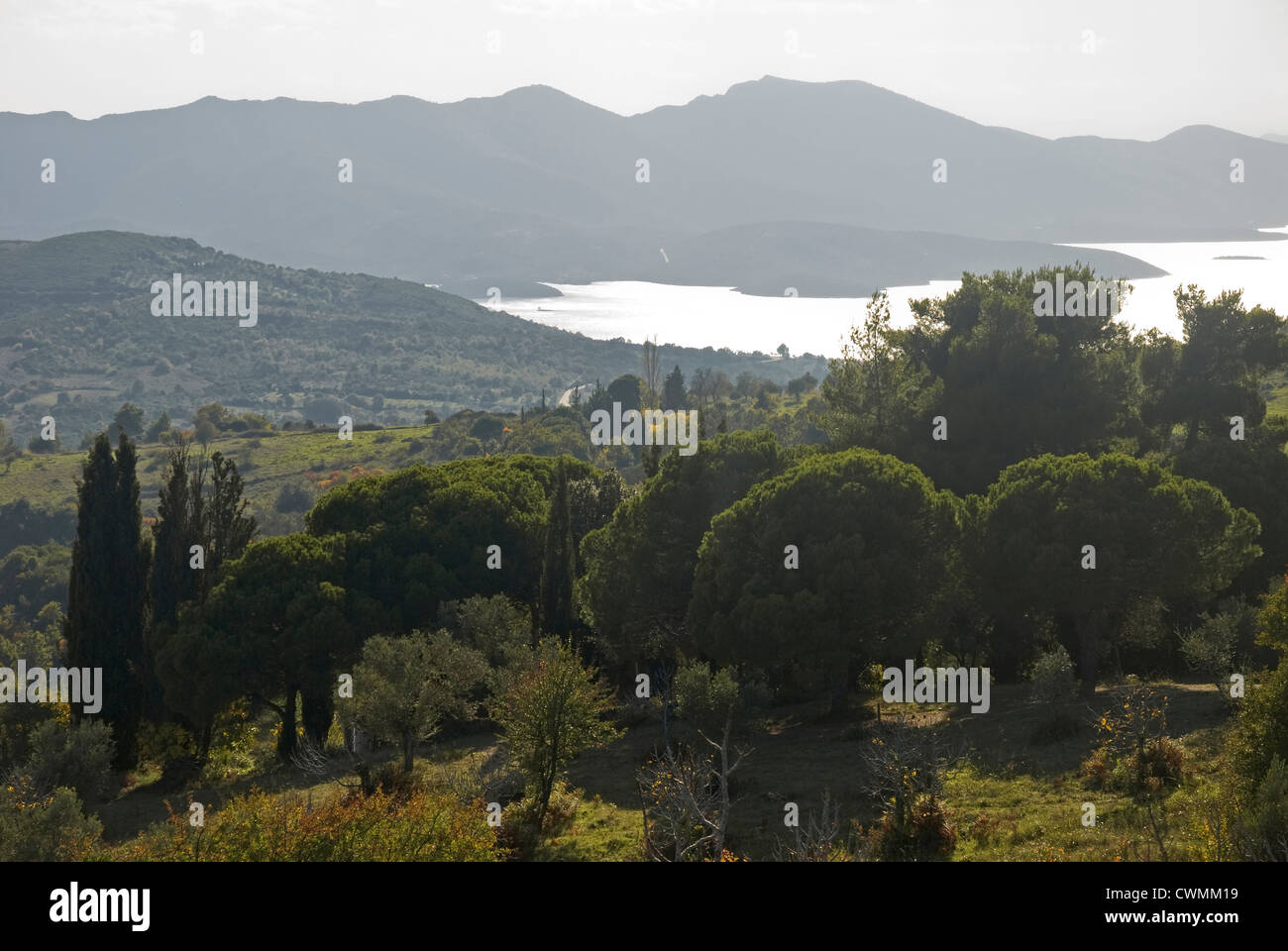 Autumnal scenery with sea view of the Pagasitic gulf (Pelion peninsular, Thessaly, Greece) Stock Photo