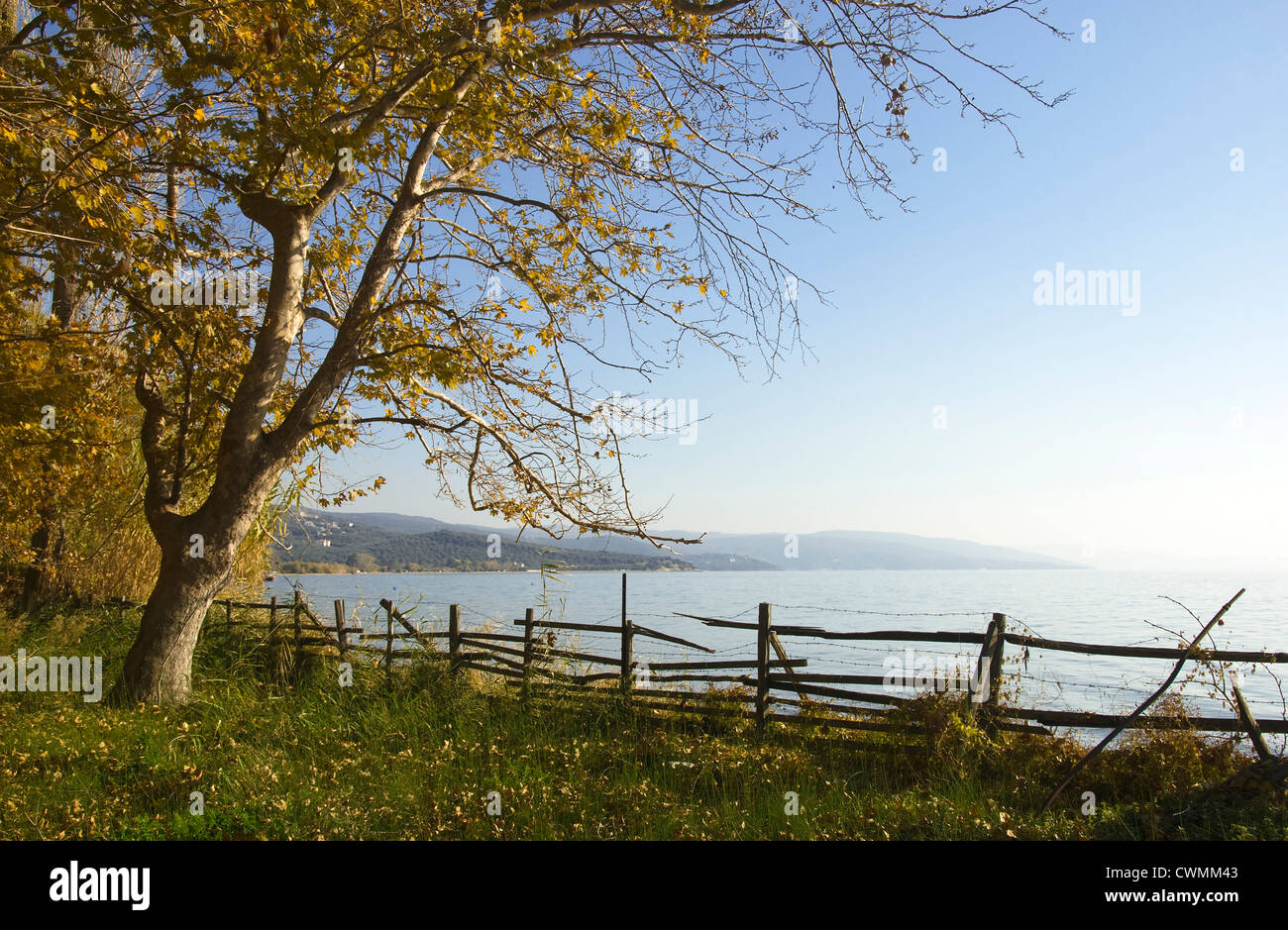 Autumn at the Pagasitic Gulf (Pelion peninsular, Thessaly, Greece) Stock Photo