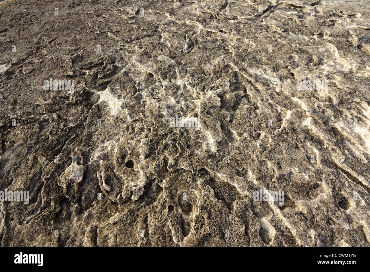 textured limestone ground abstract background Stock Photo - Alamy