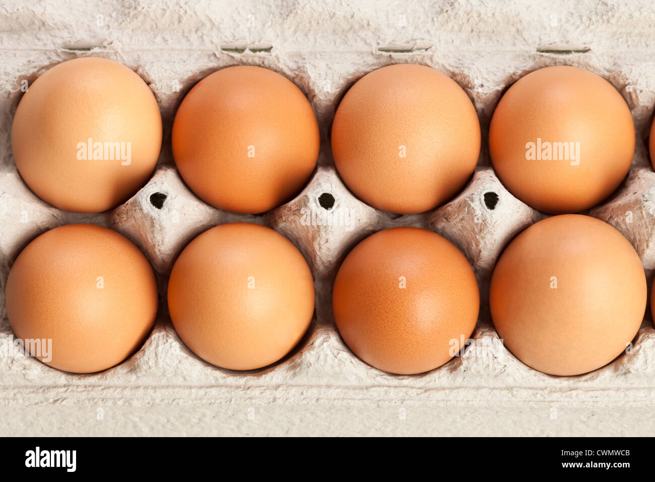 Eggs in carton Stock Photo Alamy