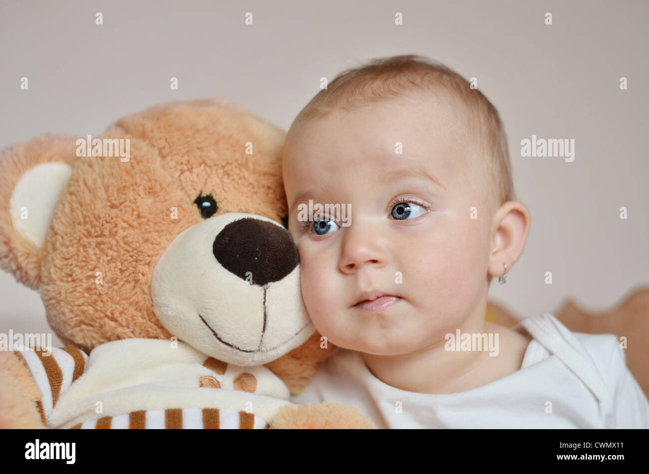 teddy bear with baby face