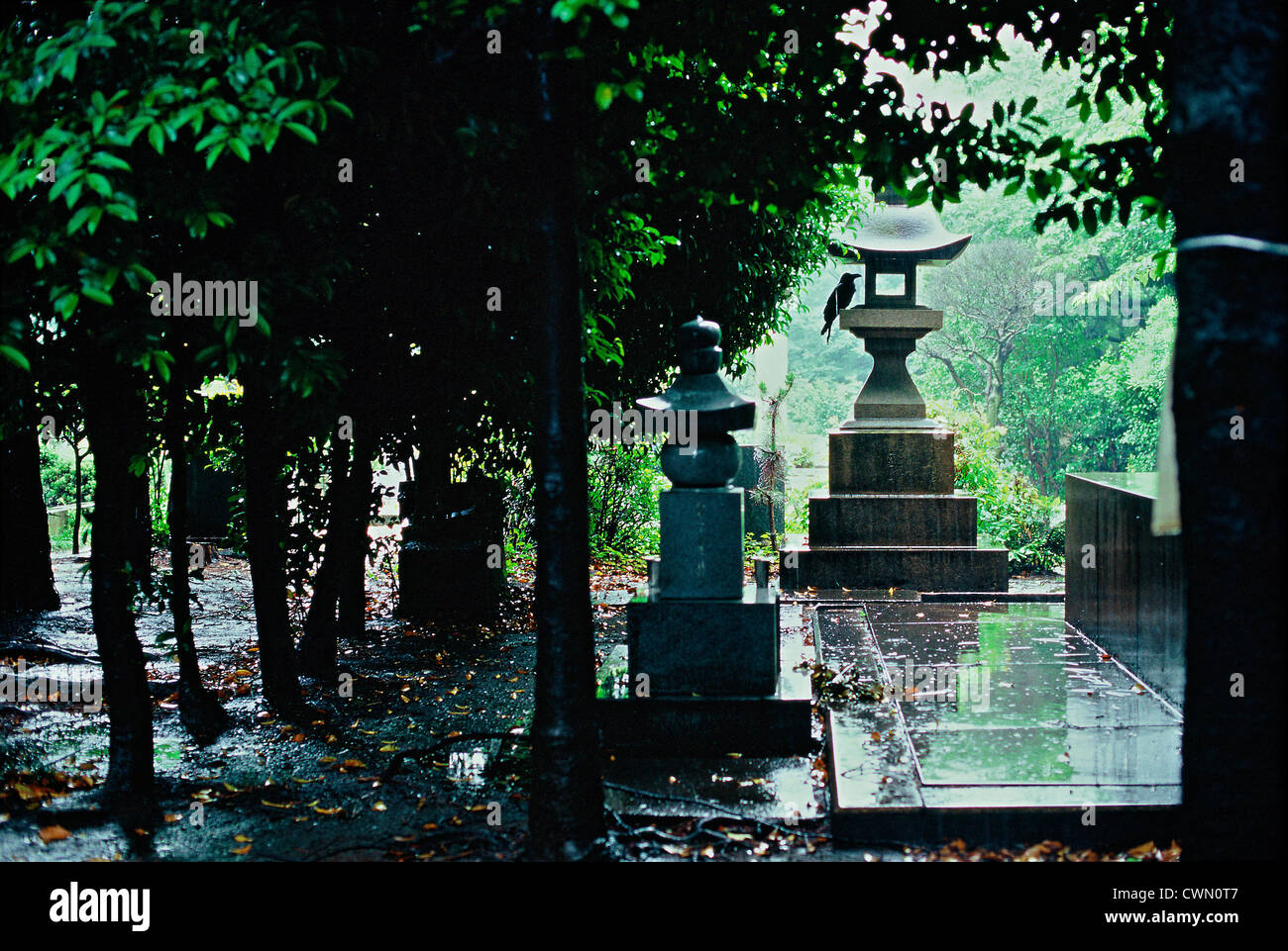 Cemetery in Tokio, Japan Stock Photo