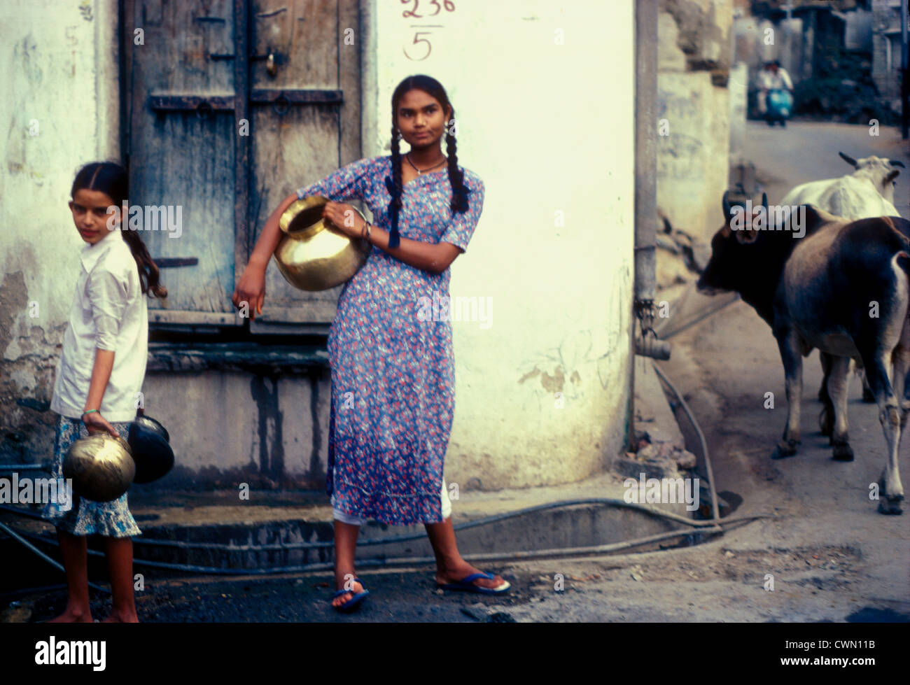 Milk round in Udaipur with two girls and cows, India Stock Photo - Alamy