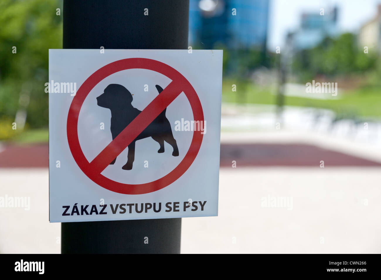 Dogs prohibited - prohibition sign, Praha, Ceska republika Stock Photo