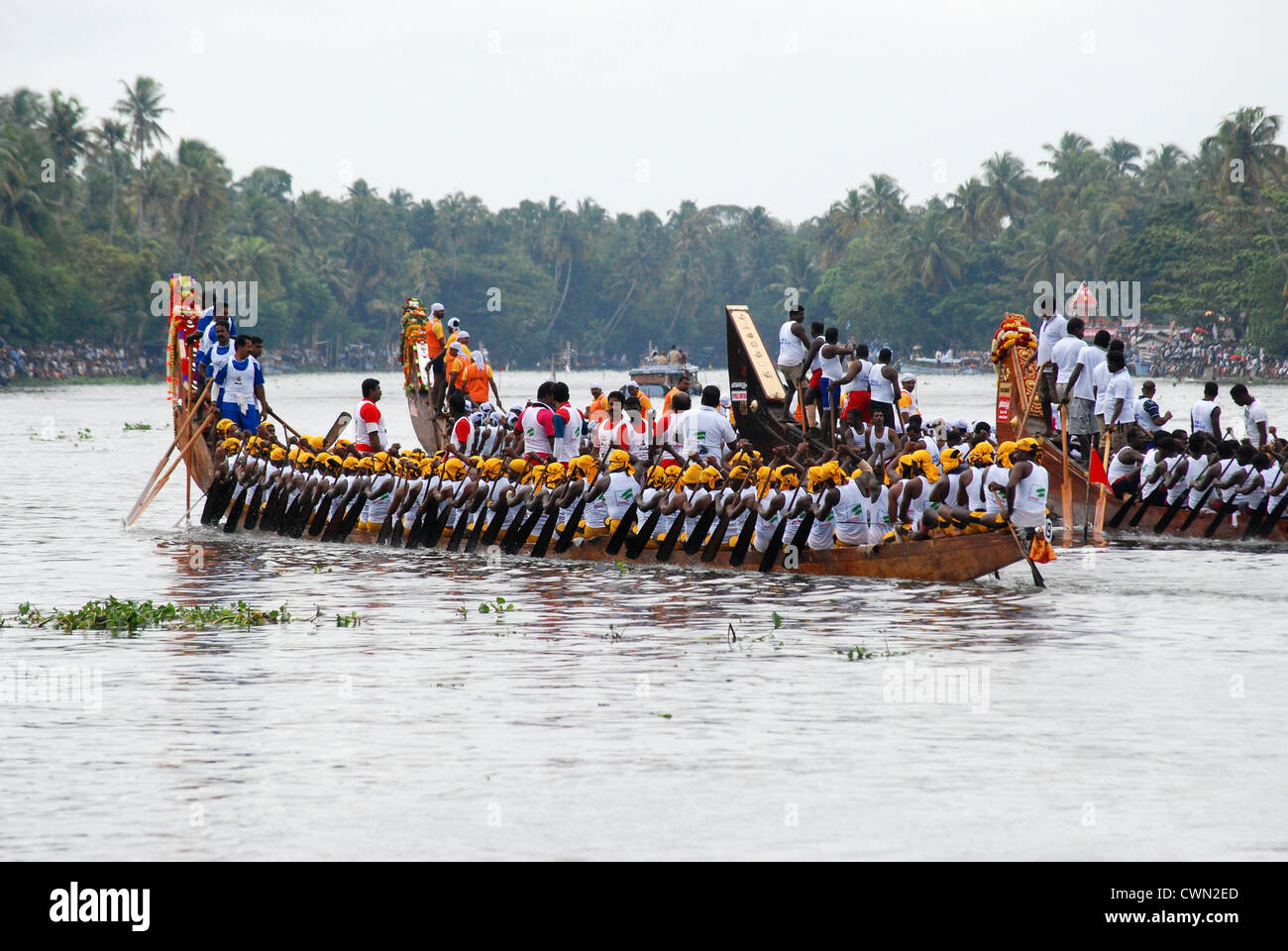 snake boat race from alleppey,kerala backwaters,india Stock Photo