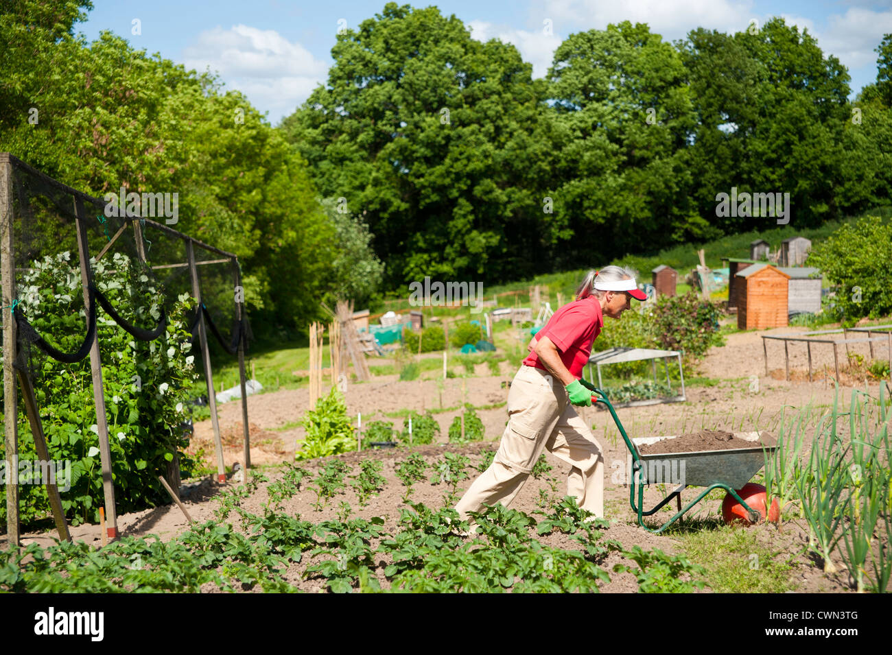 Woman pushing a wheelbarrow uphill in a garden Stock Photo - Alamy