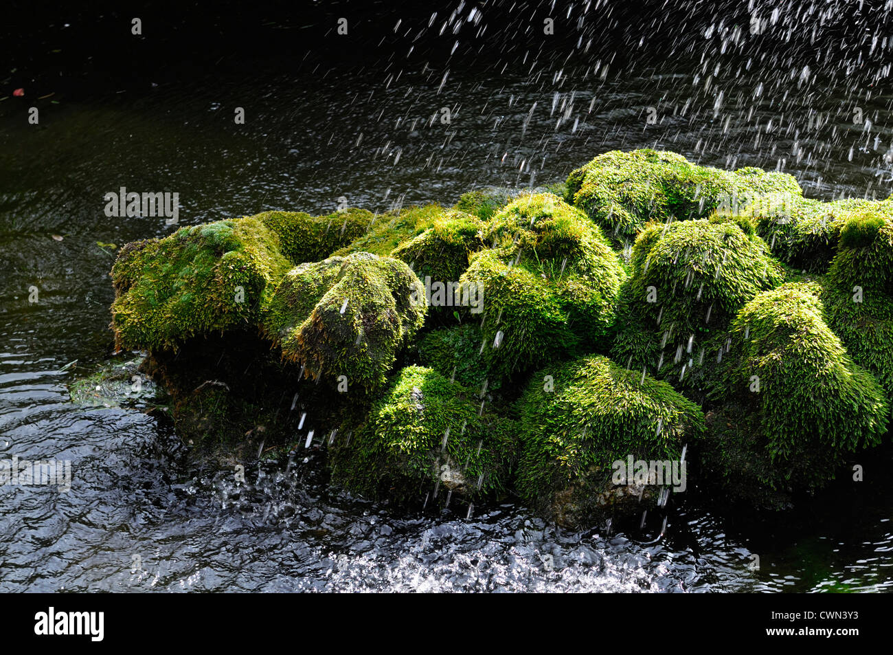 Pond cover net hi-res stock photography and images - Alamy