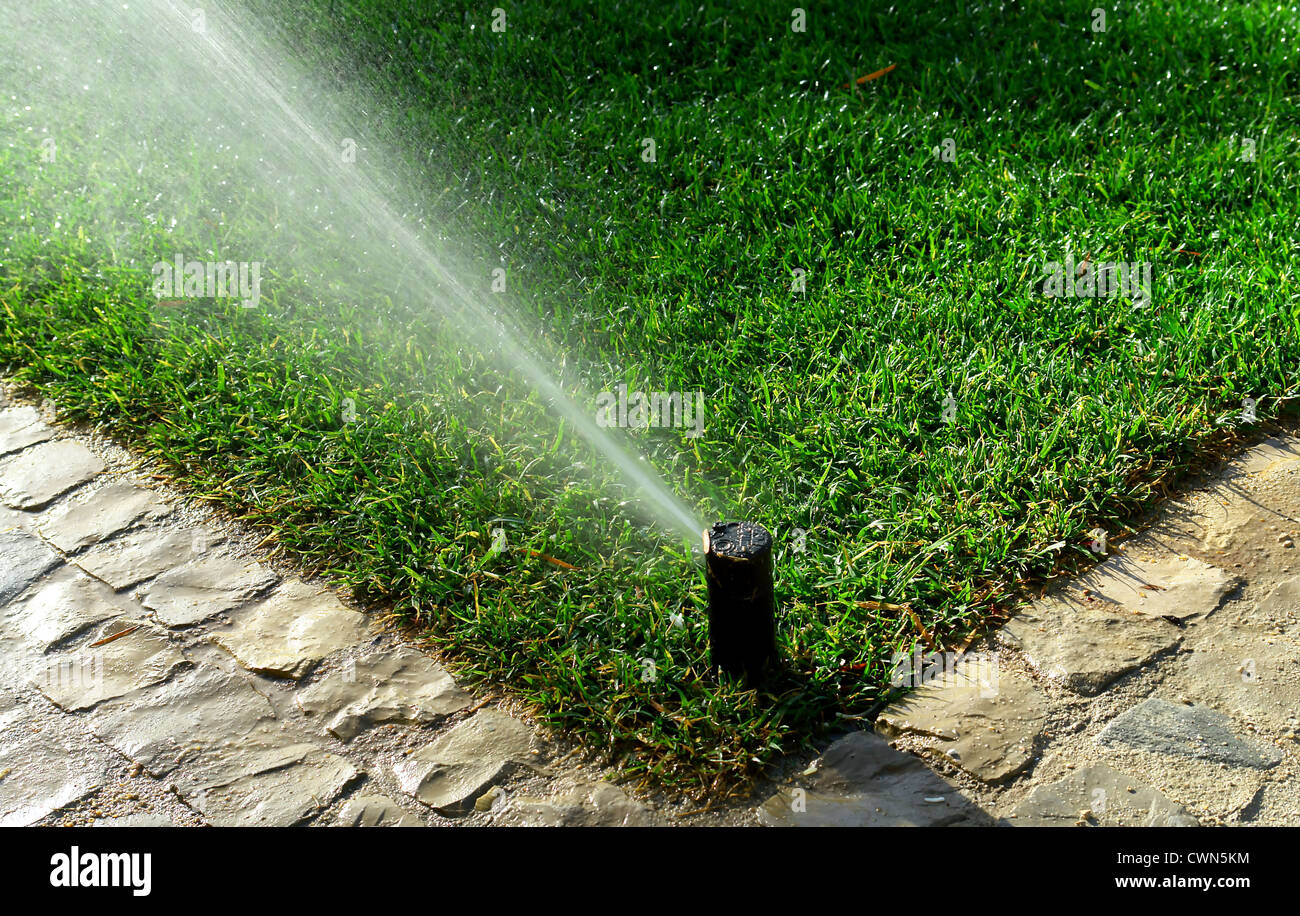 Garden irrigation system watering lawn Stock Photo - Alamy