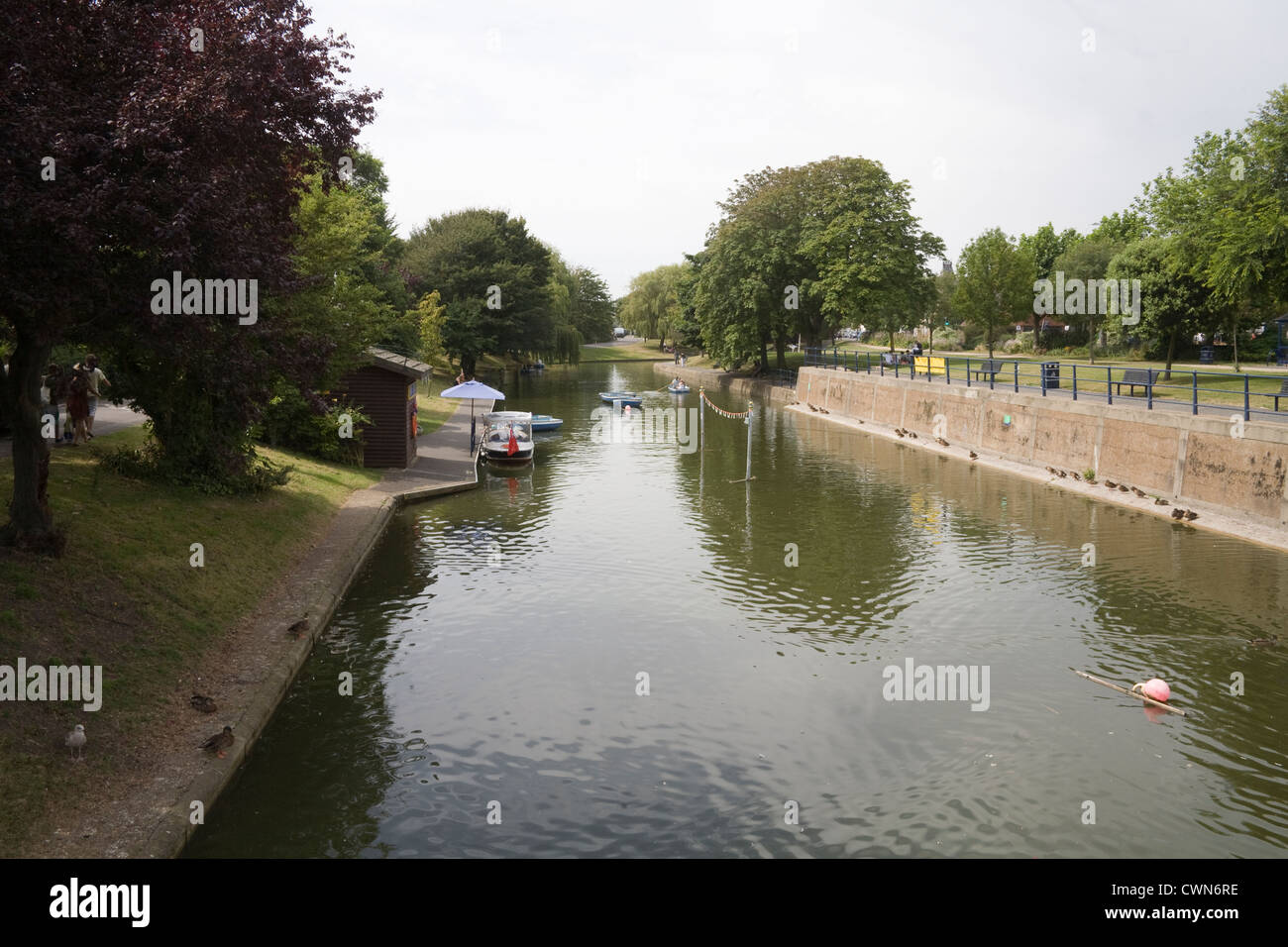 Hythe Kent England UK Rowing boat hire on the Royal Military Canal a
