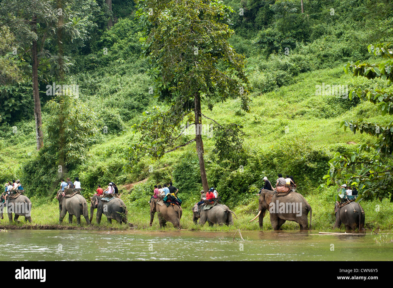 Riding on elephant hi-res stock photography and images - Alamy