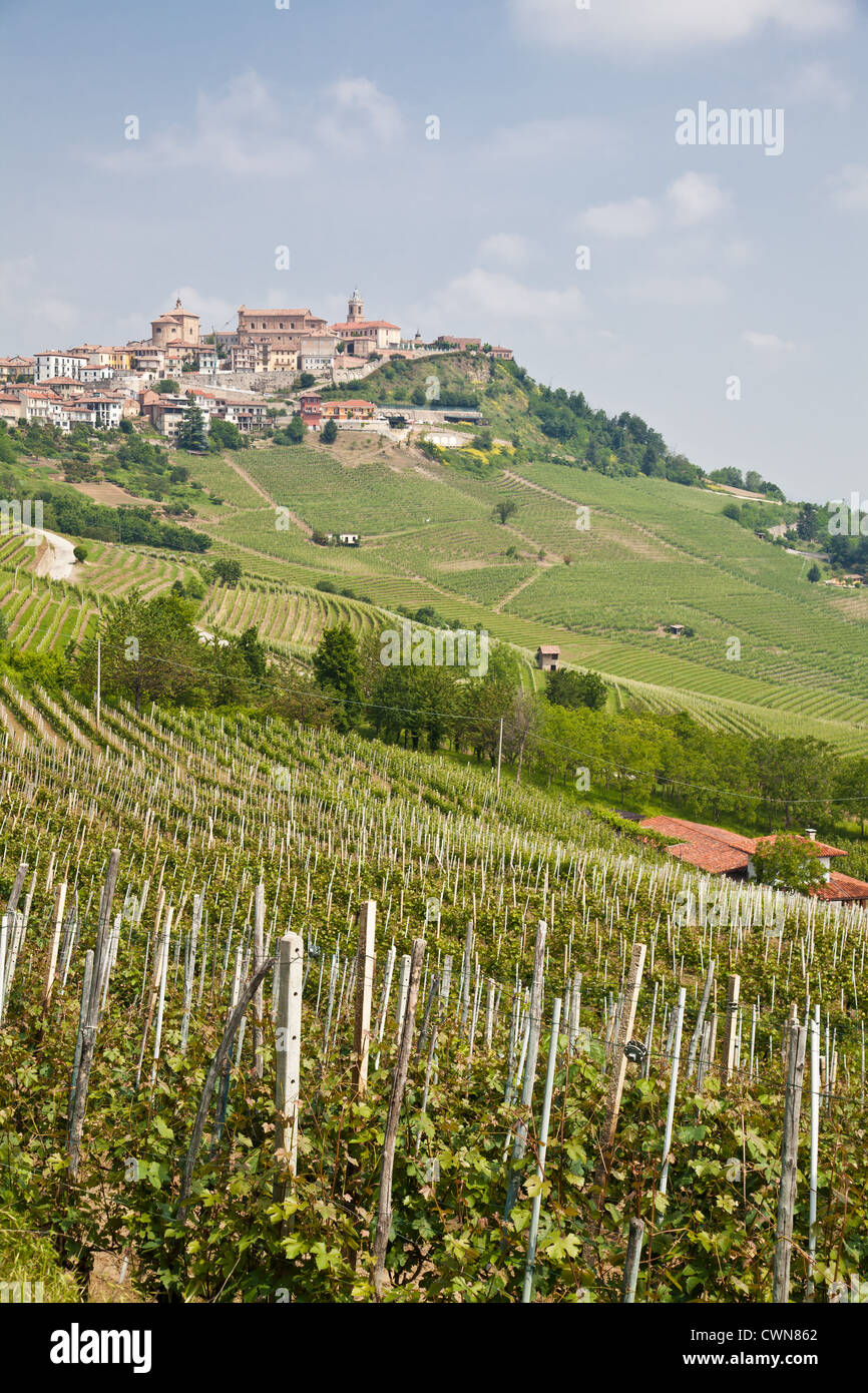 Tuscany. Vineyard in the middle of the most famous wine region of Italy Stock Photo Alamy
