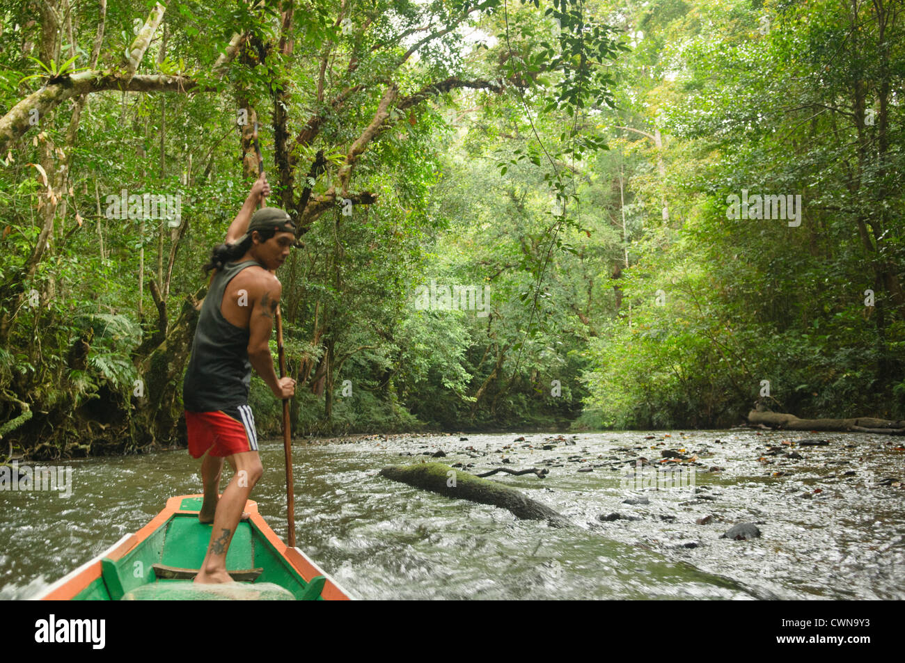 Iban man navigating the river in Batang Ai National Park in Sarawak, Borneo, Malaysia Stock Photo