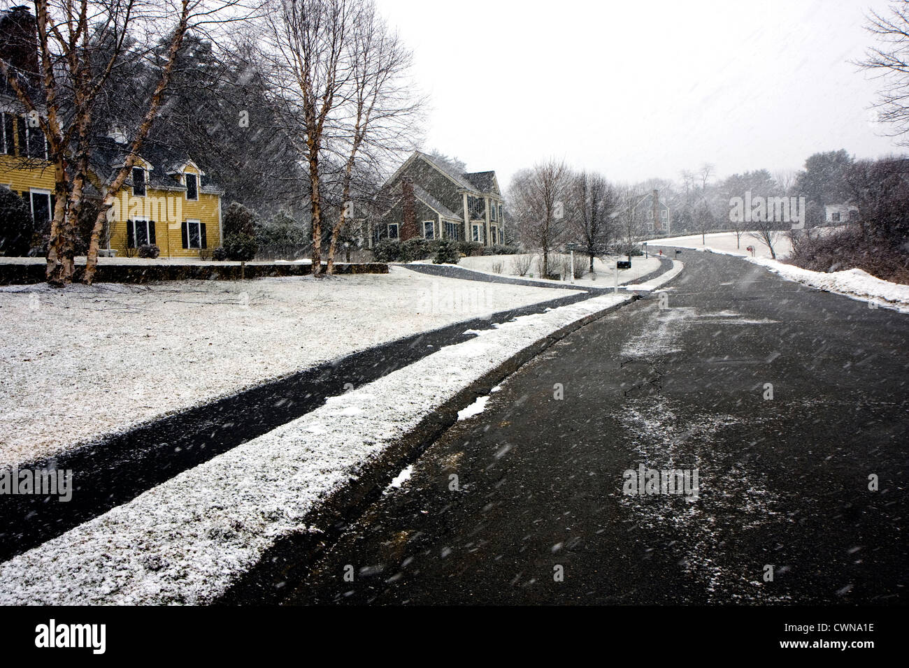 A road in winter snow surrounded by forest trees and houses Stock Photo ...