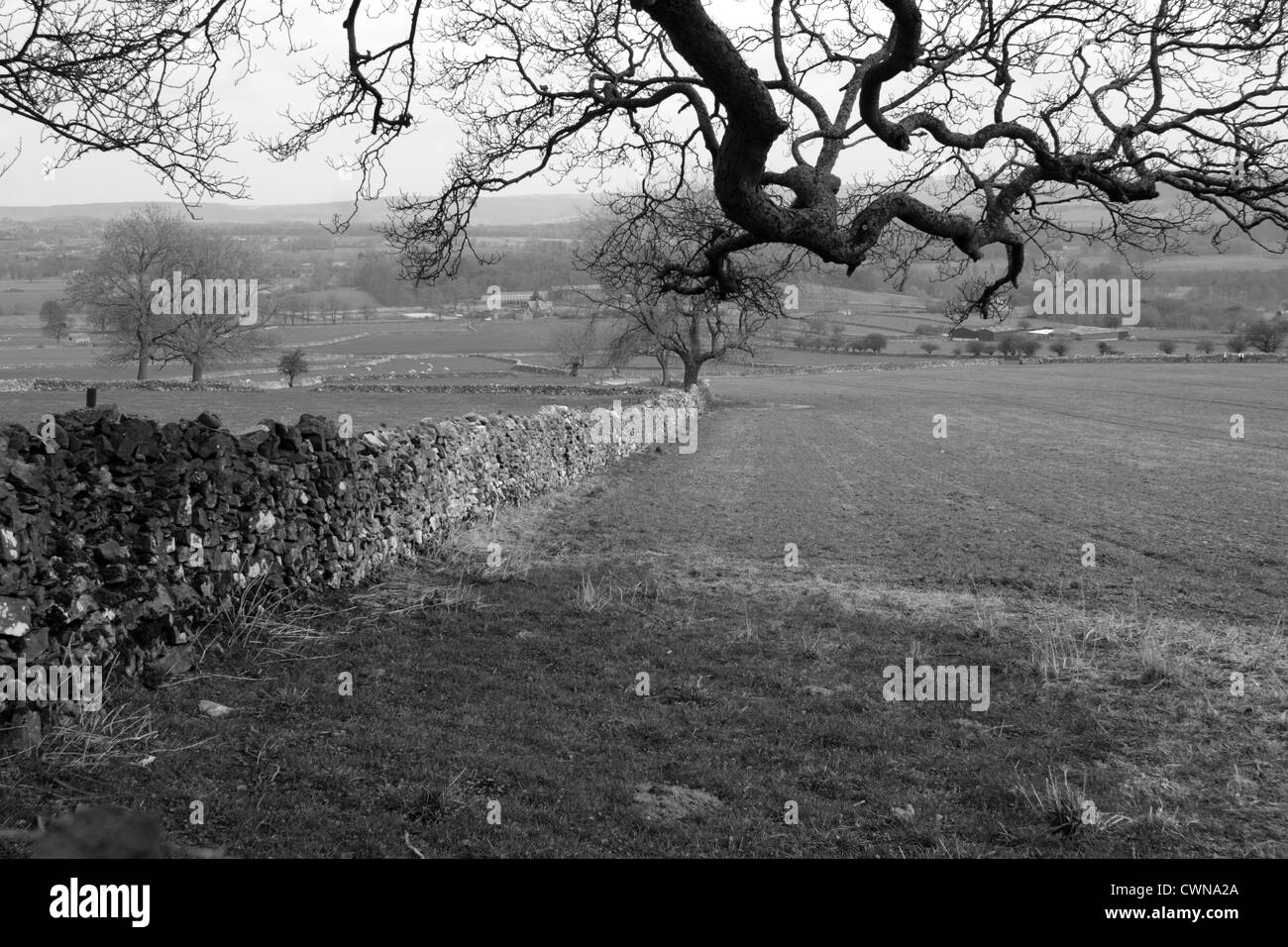 View over farmland near Monsal Dale, Peak District National Park, Derbyshire, England, UK Stock Photo